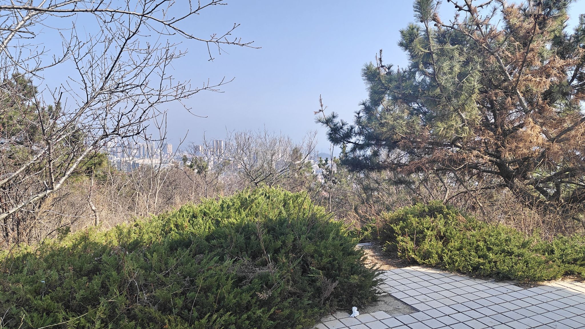 挂书亭旅行图片 3