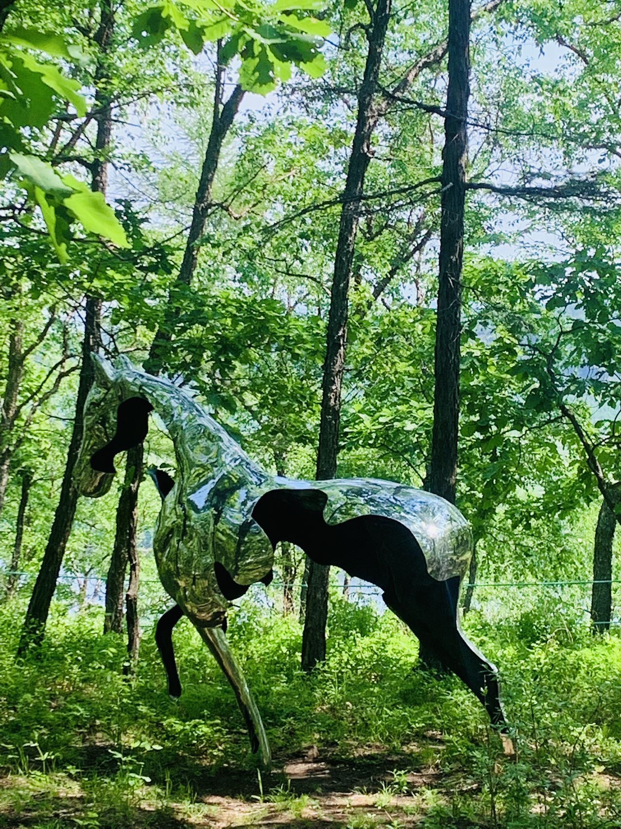 画山界江国际旅游度假区(暂停开放)旅行图片 3