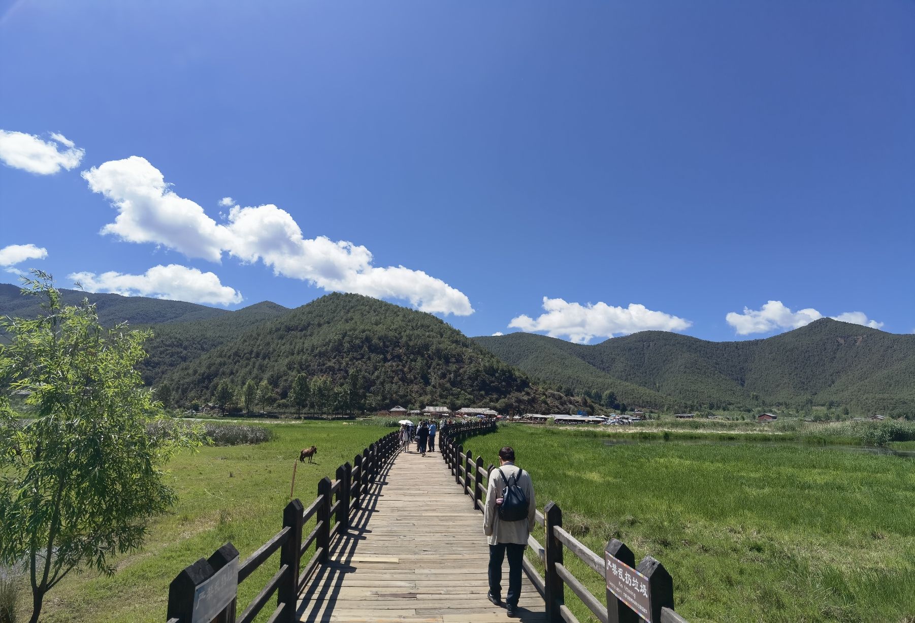 走婚桥观景台旅行图片 2
