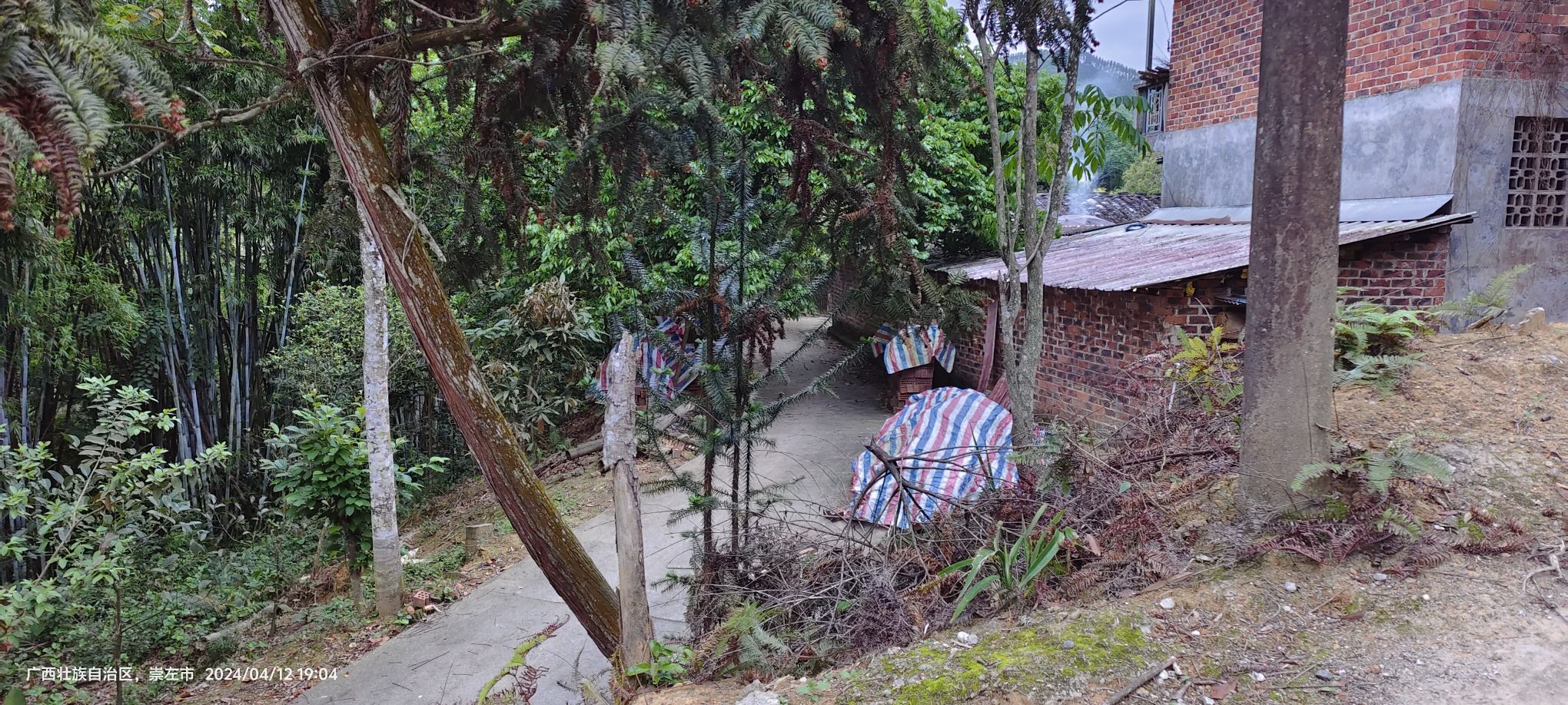 阴阳河风景区旅行图片 2
