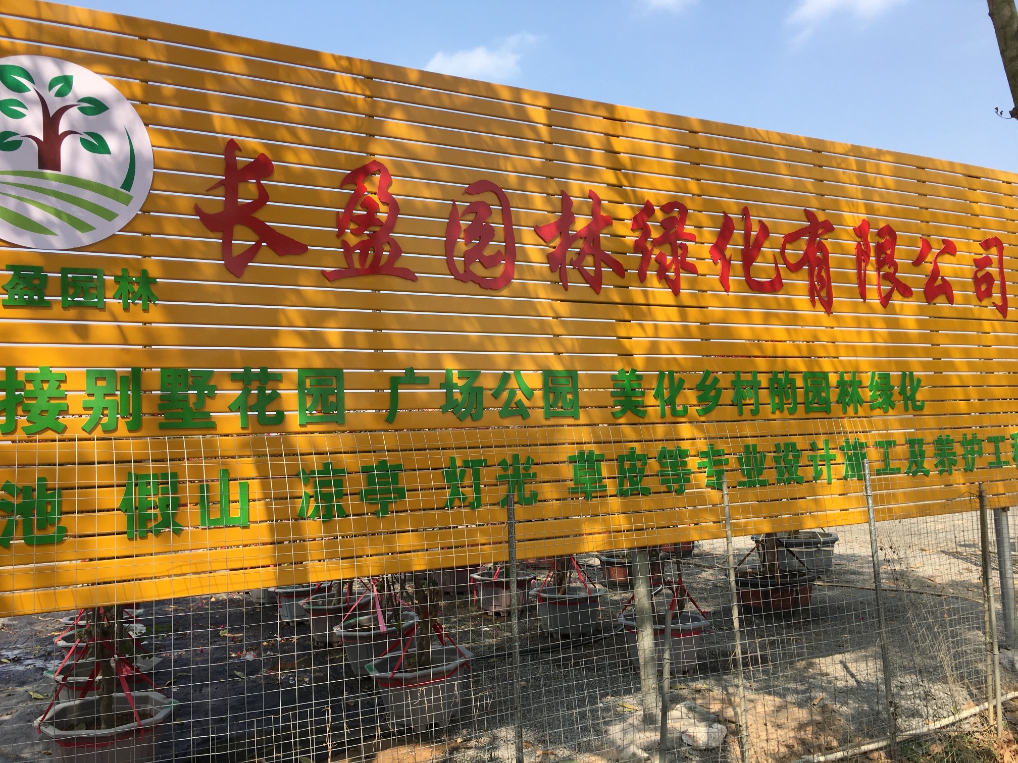 花卉超市-长盈园林绿化有限公司