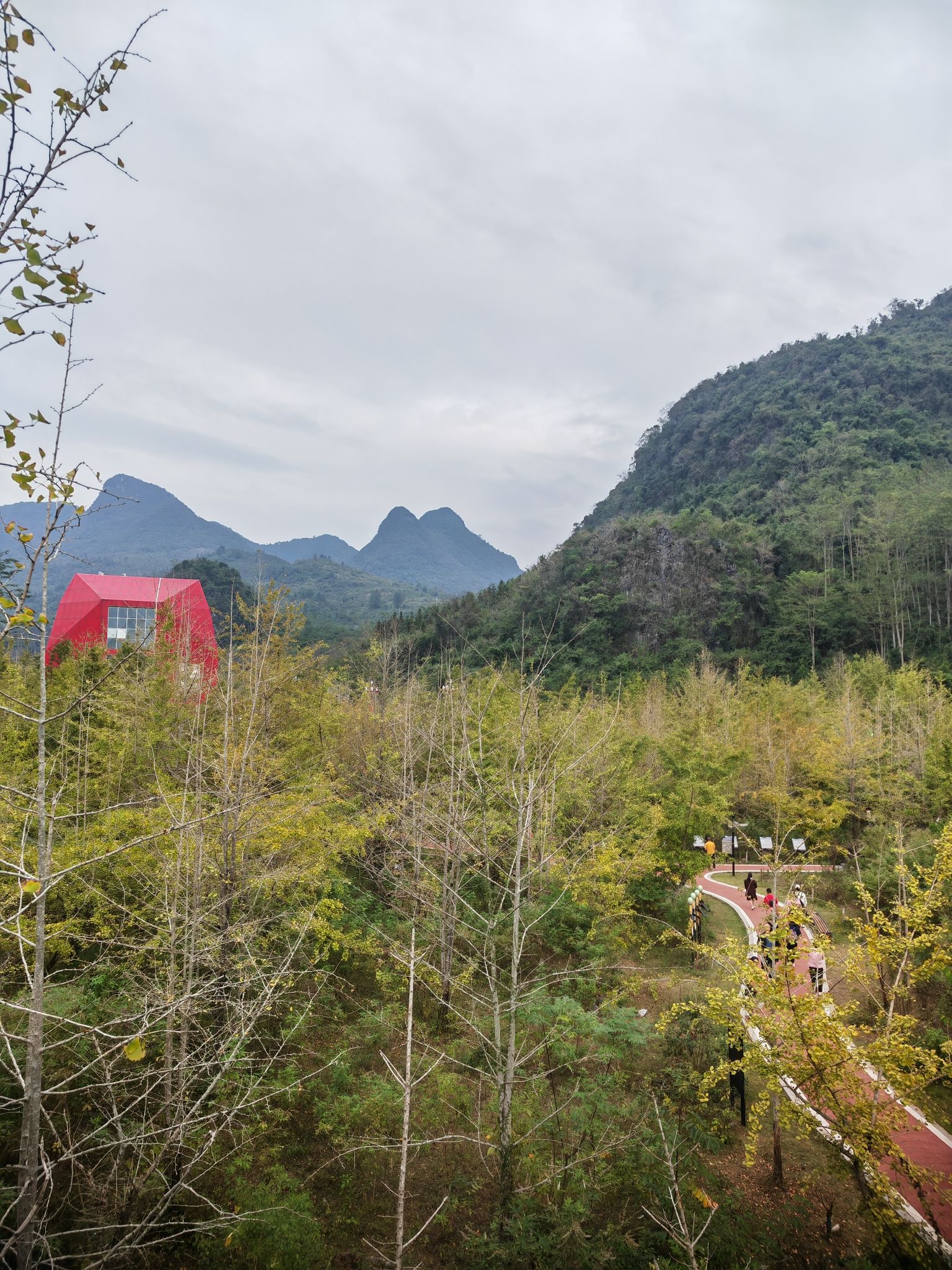 连南千亩银杏林旅行图片 3