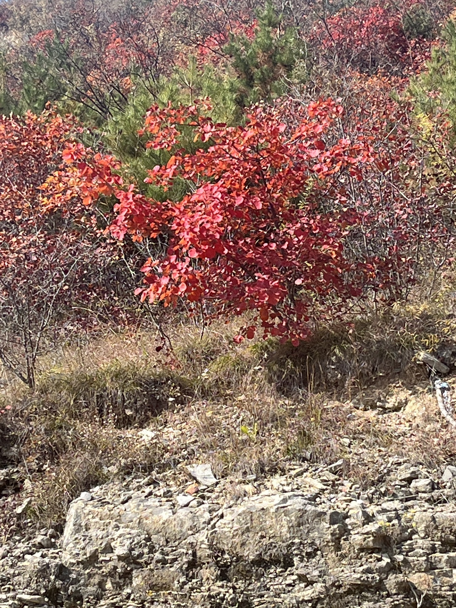 太行三门扇旅游景区旅行图片 1
