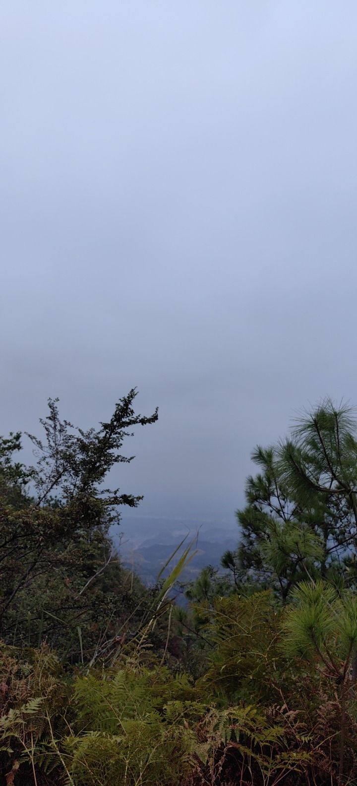 三角寨