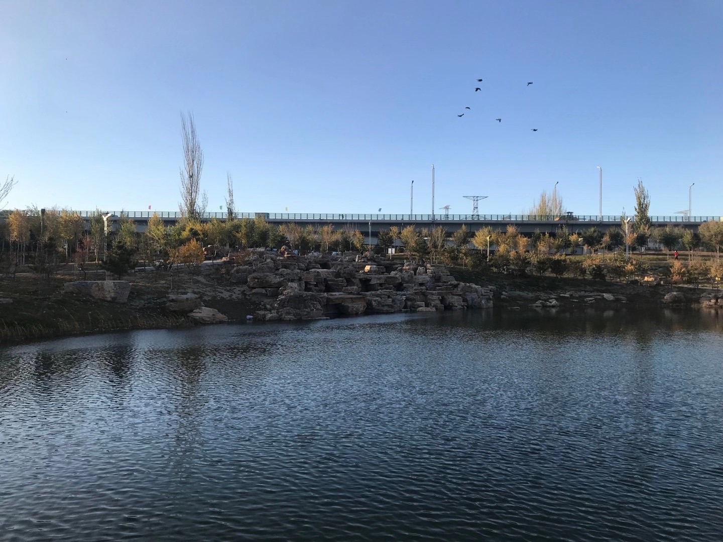 骊山湖公园旅行图片 3