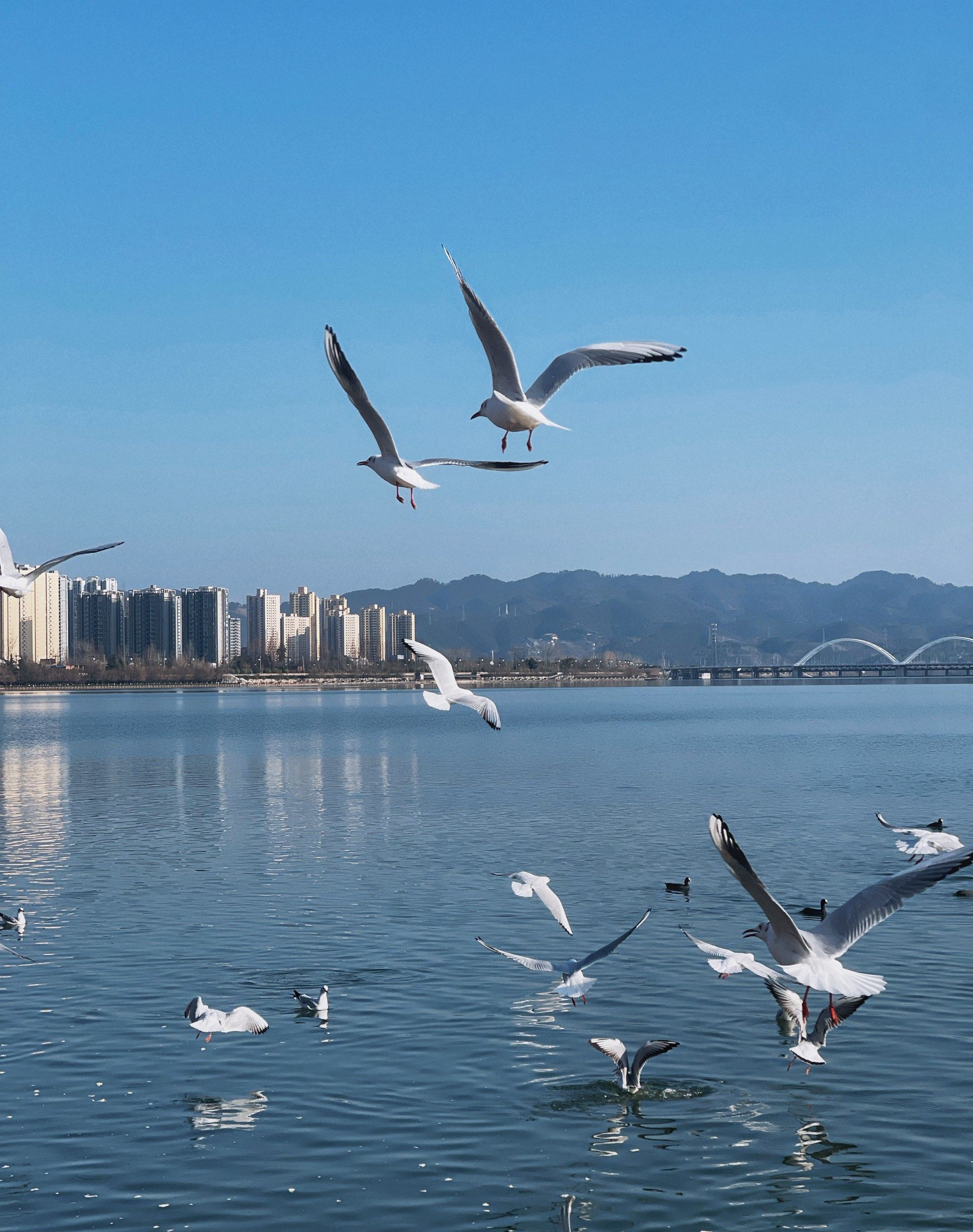 汉中市汉江天汉湿地公园