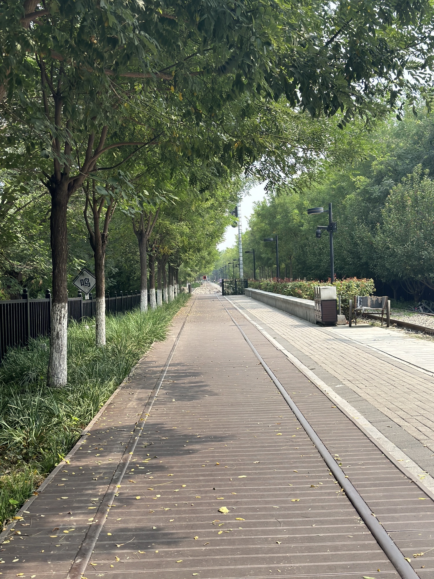 绿道公园(友谊南路)旅行图片 3