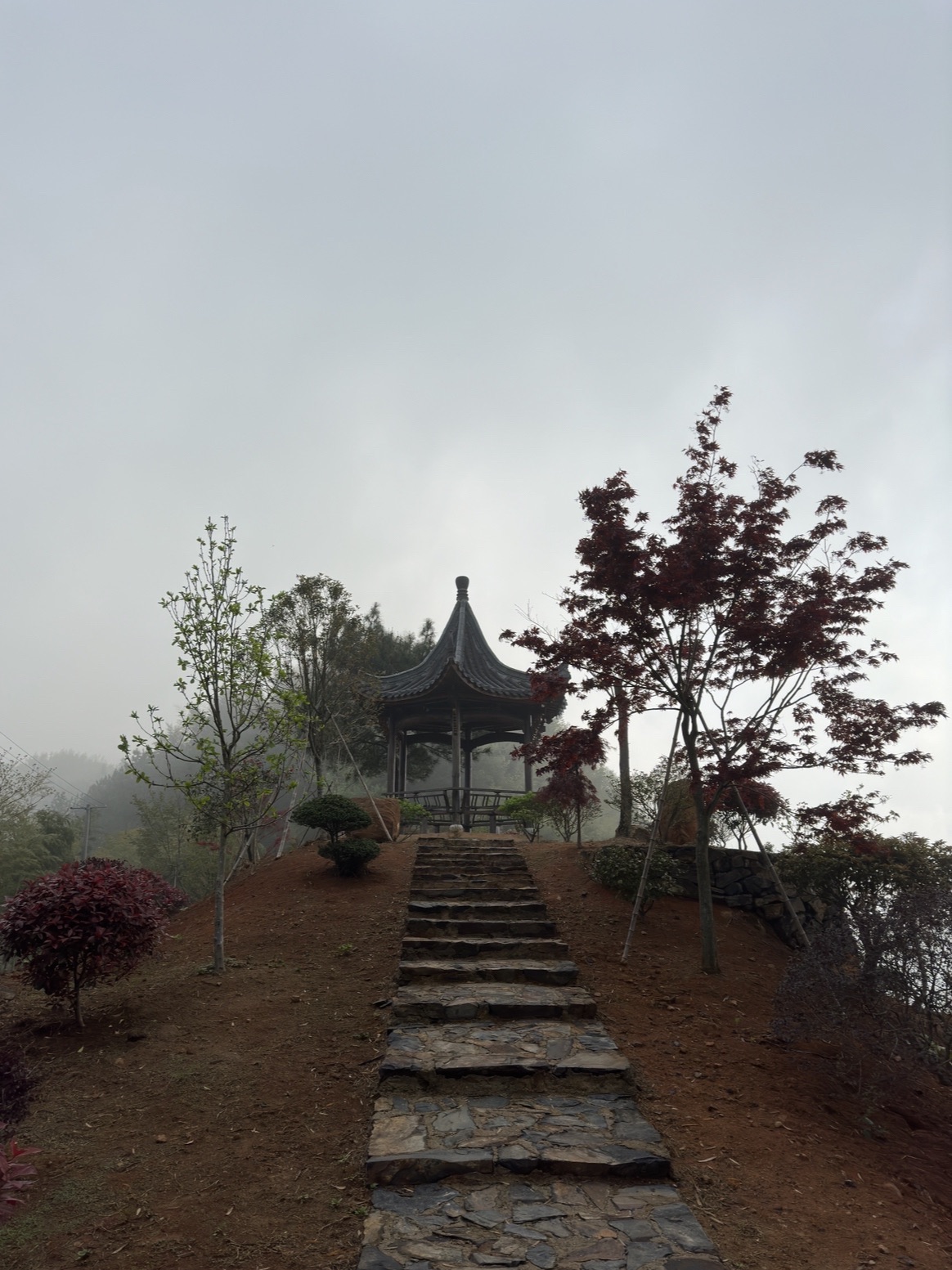 皖南唐古拉云海观景台旅行图片 2
