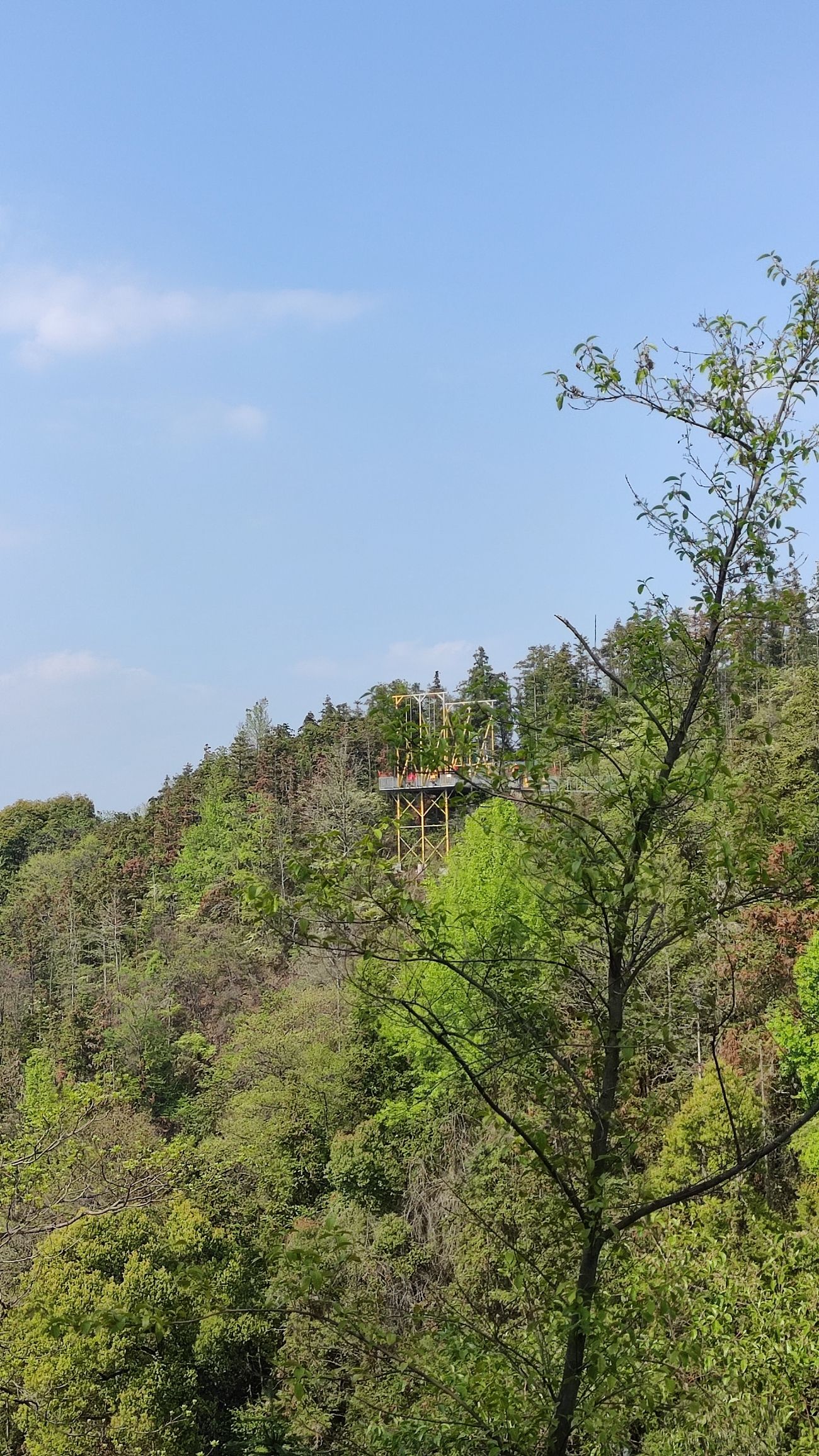 大鲵山森林探险乐园旅行图片 3