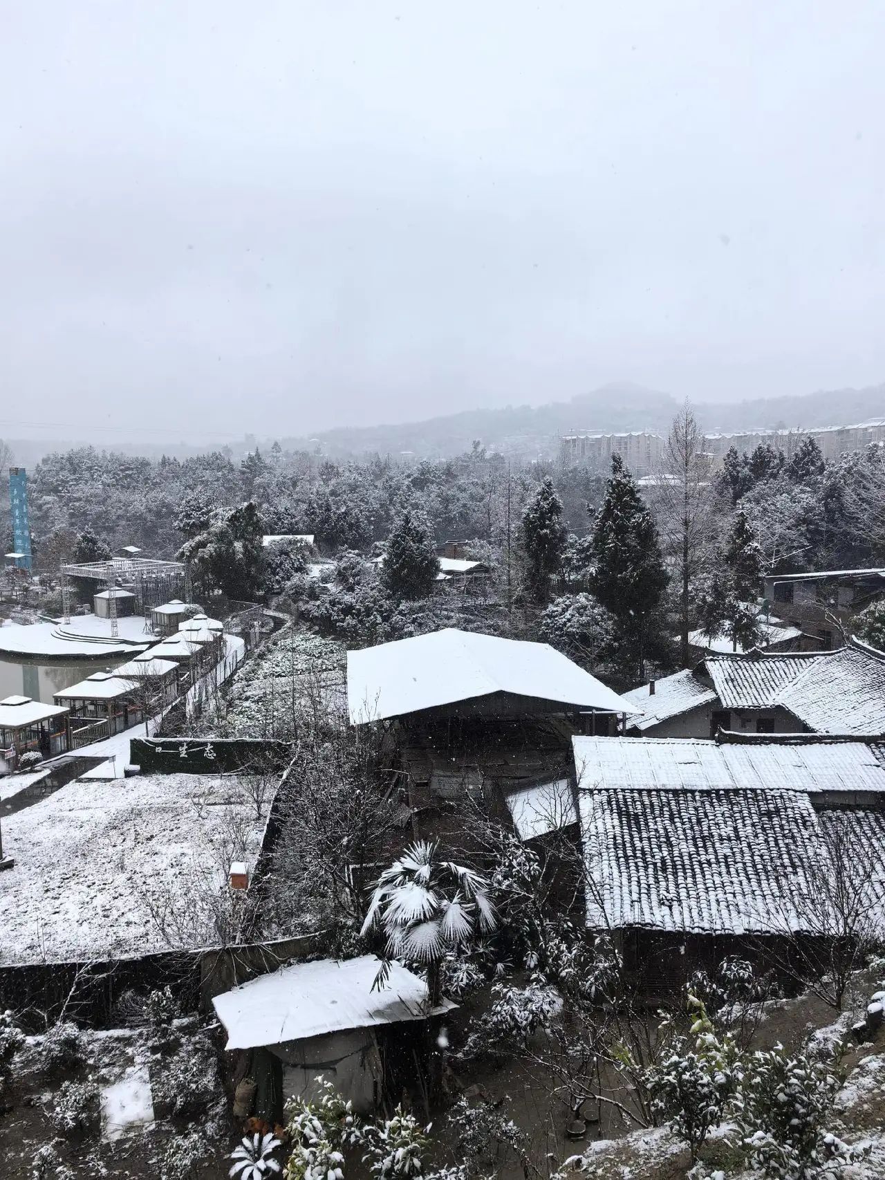 苏山坪·乡瓣童年田园综合体旅行图片 3