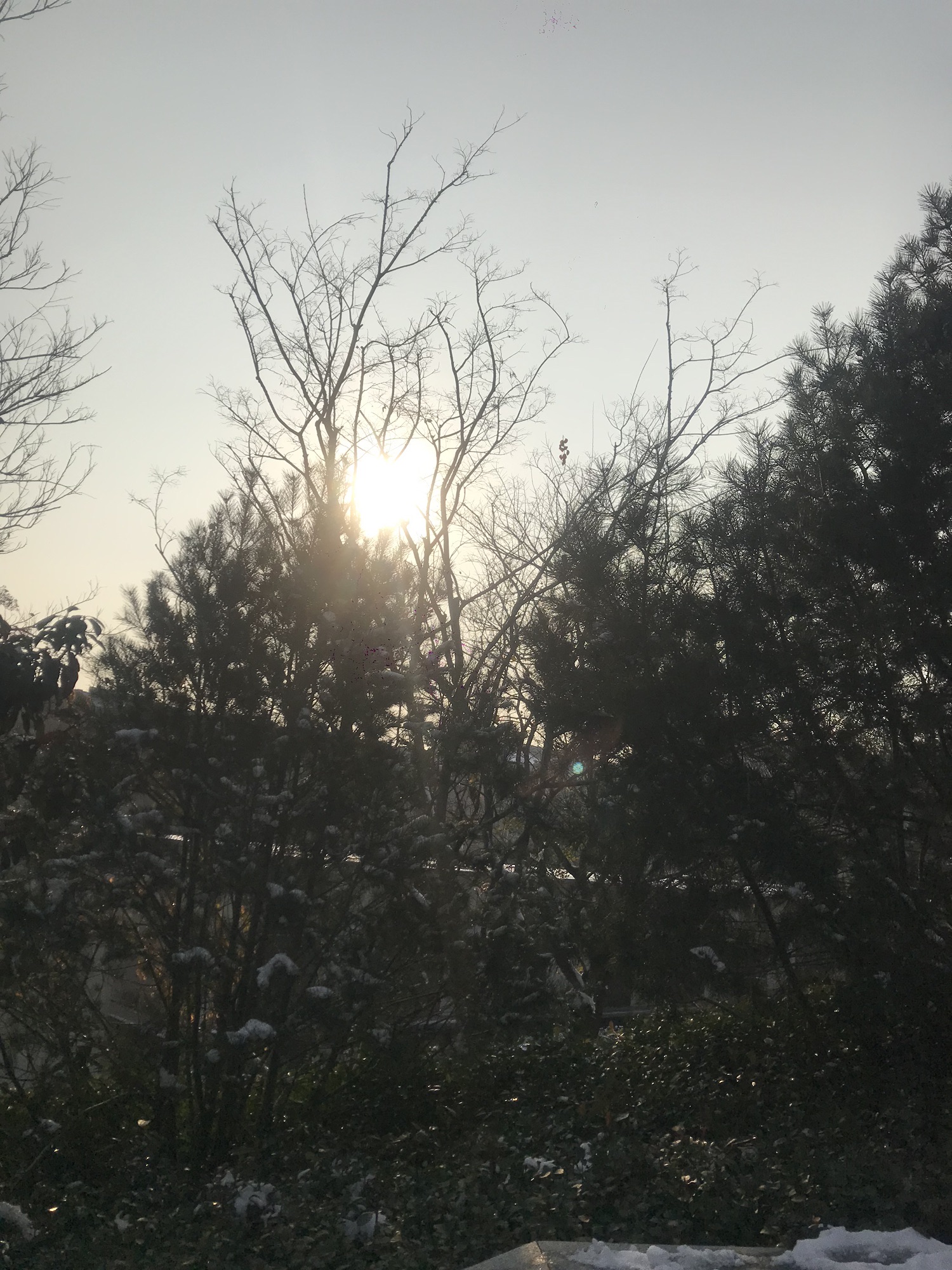 济南标山山体公园旅行图片 3