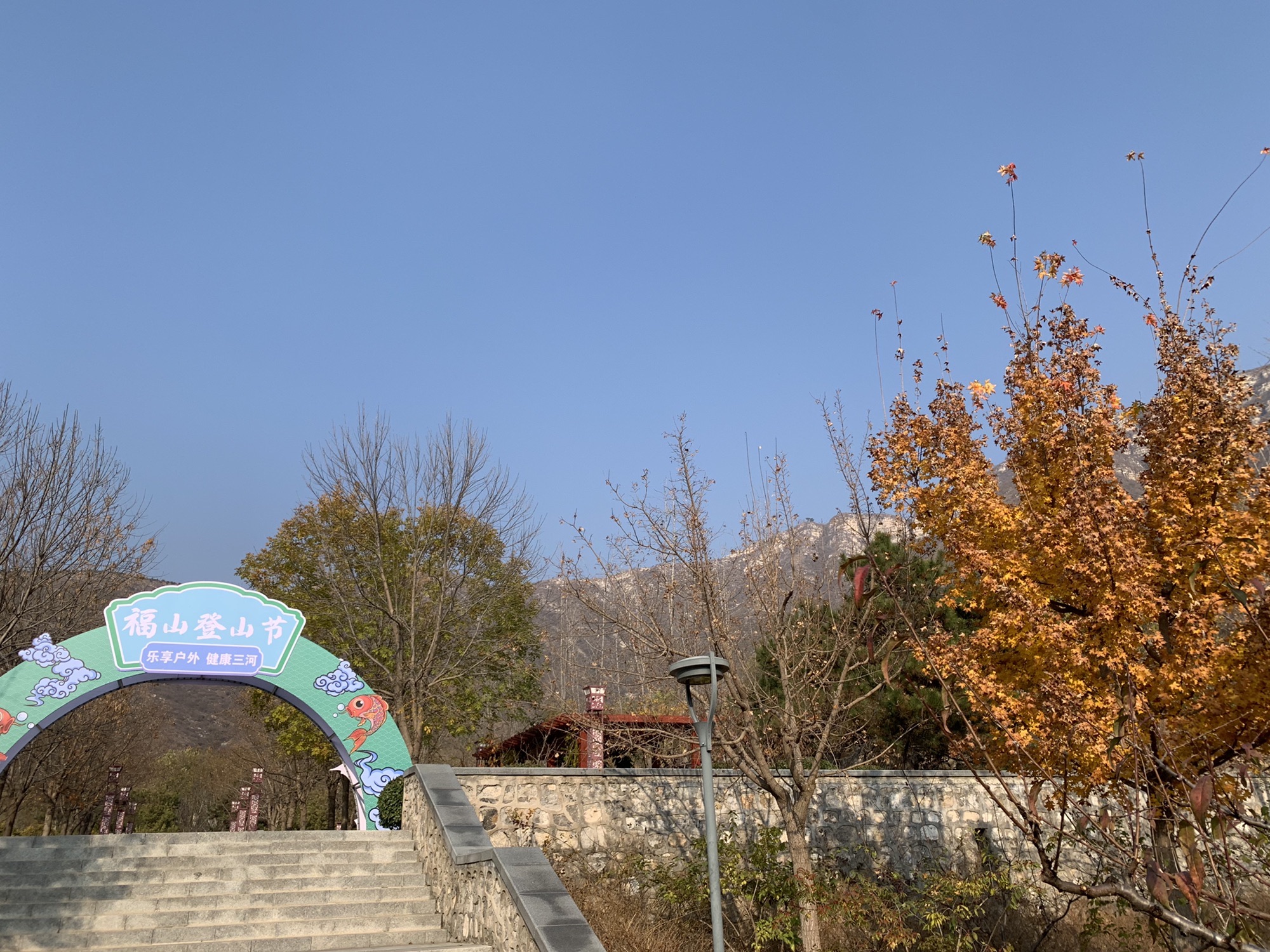 福山森林公园(暂停开放)旅行图片 1