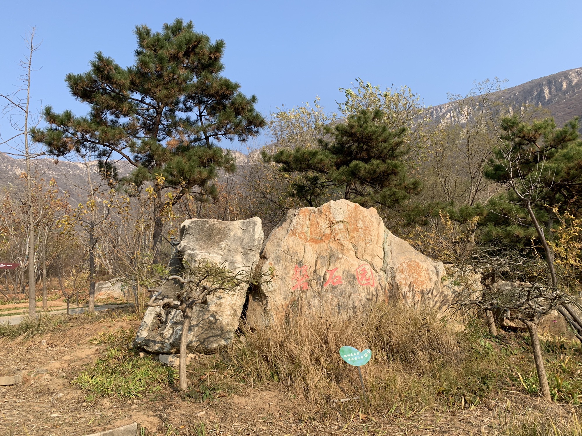 福山森林公园(暂停开放)旅行图片 2