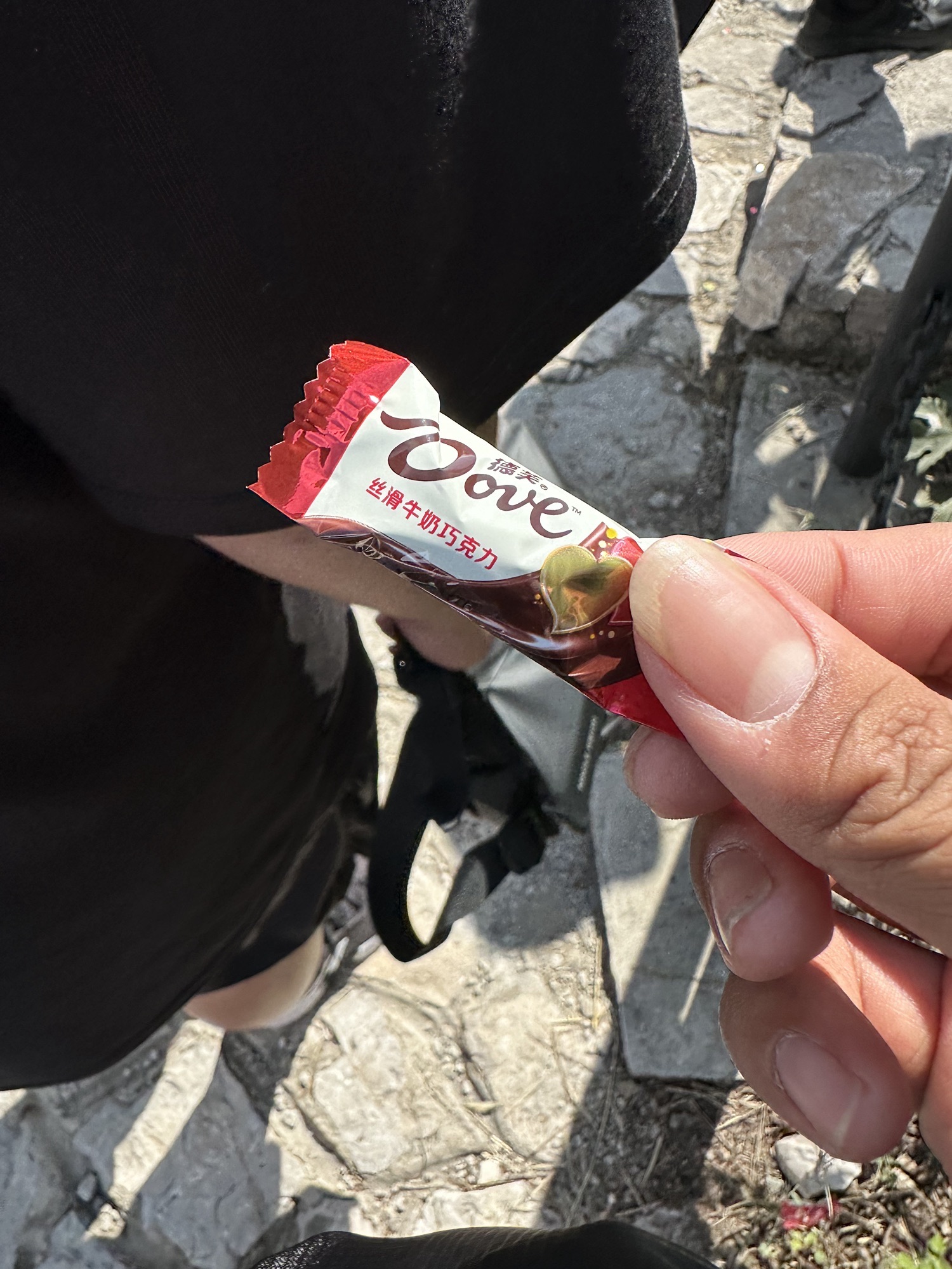 福山森林公园(暂停开放)旅行图片 2