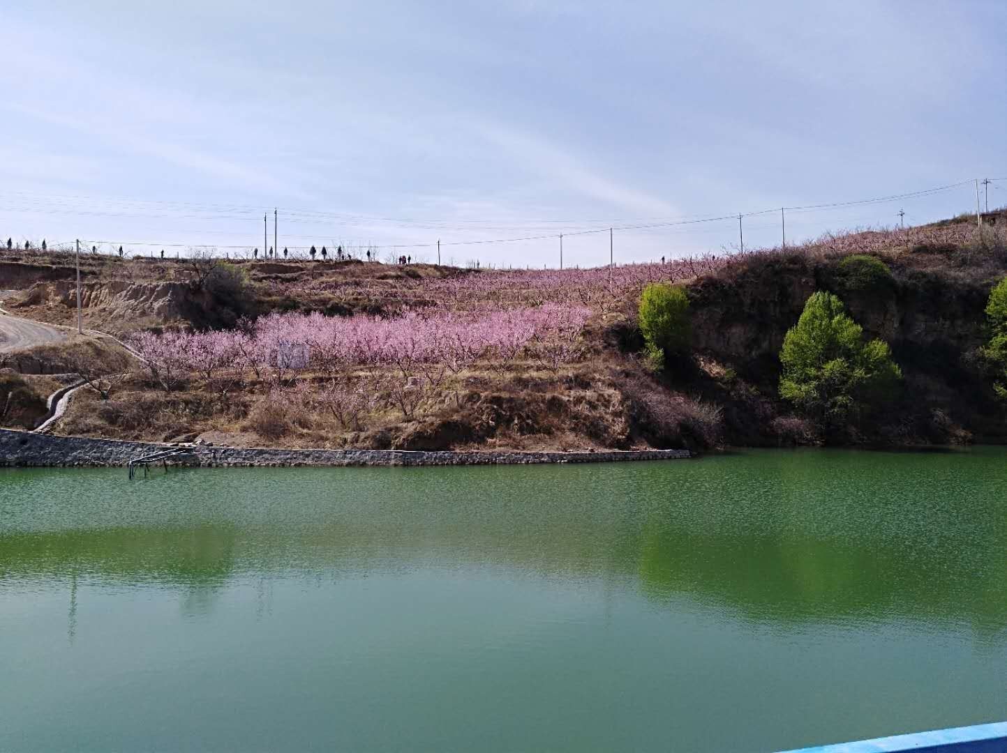 莲花山山地公园旅行图片 2