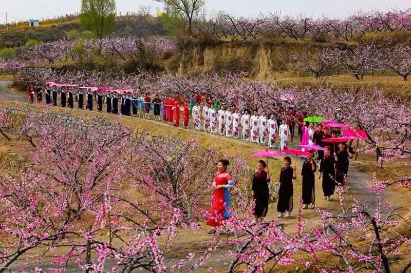 莲花山山地公园旅行图片 3
