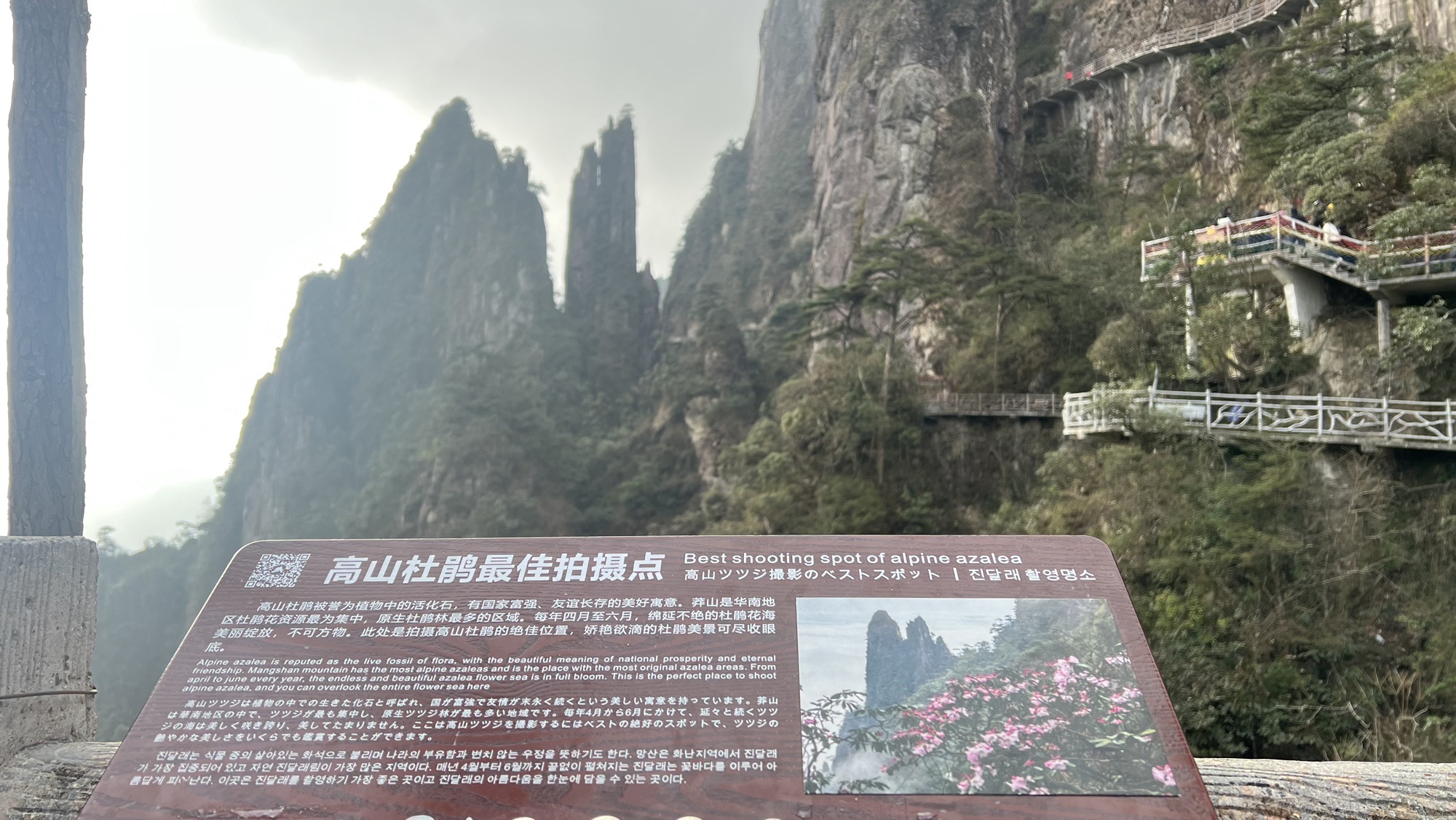 五指峰景区旅行图片 2
