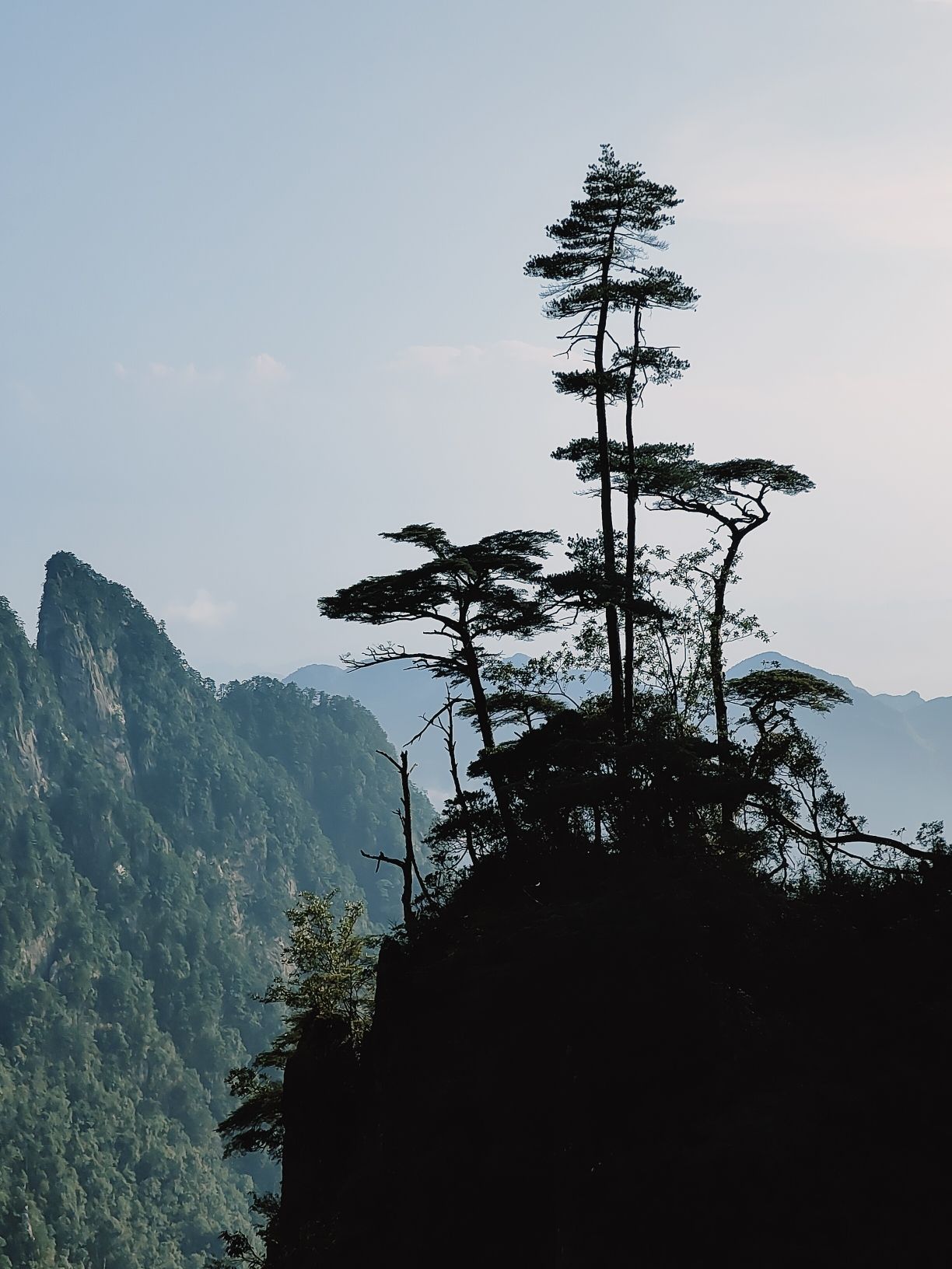 五指峰景区旅行图片 1