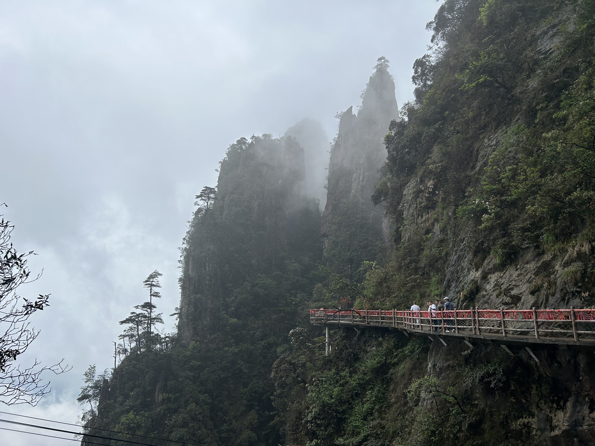 五指峰景区旅行图片 3