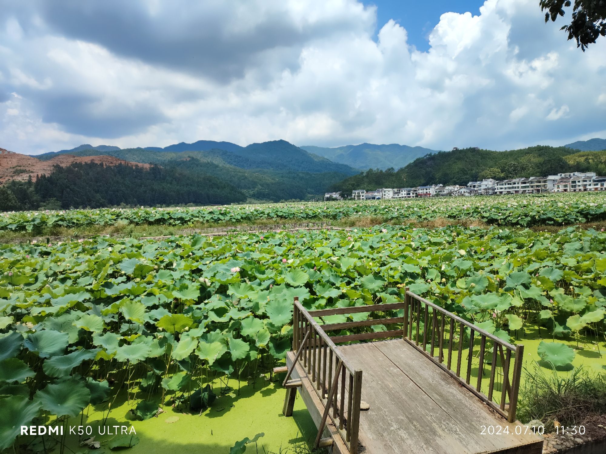中国莲花景区(暂停开放)旅行图片 1