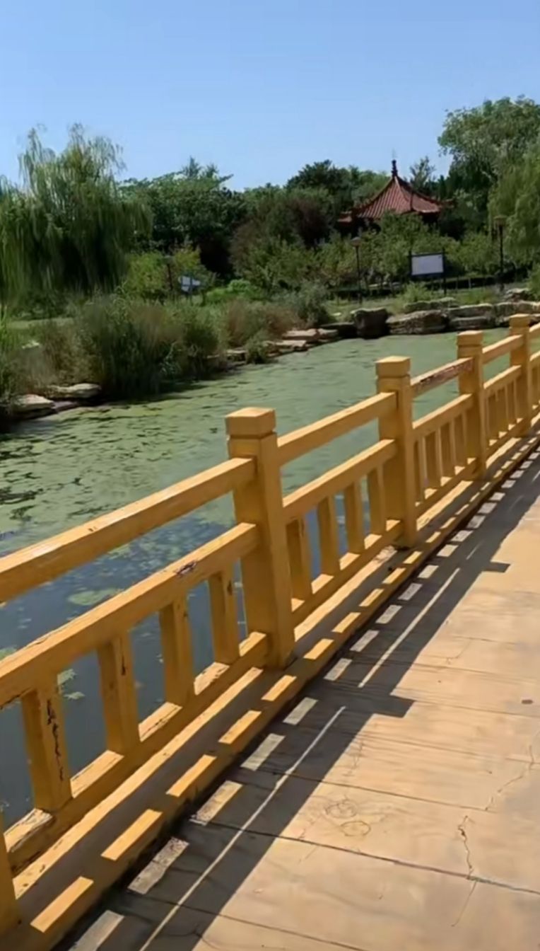 苍源河公园旅行图片 1