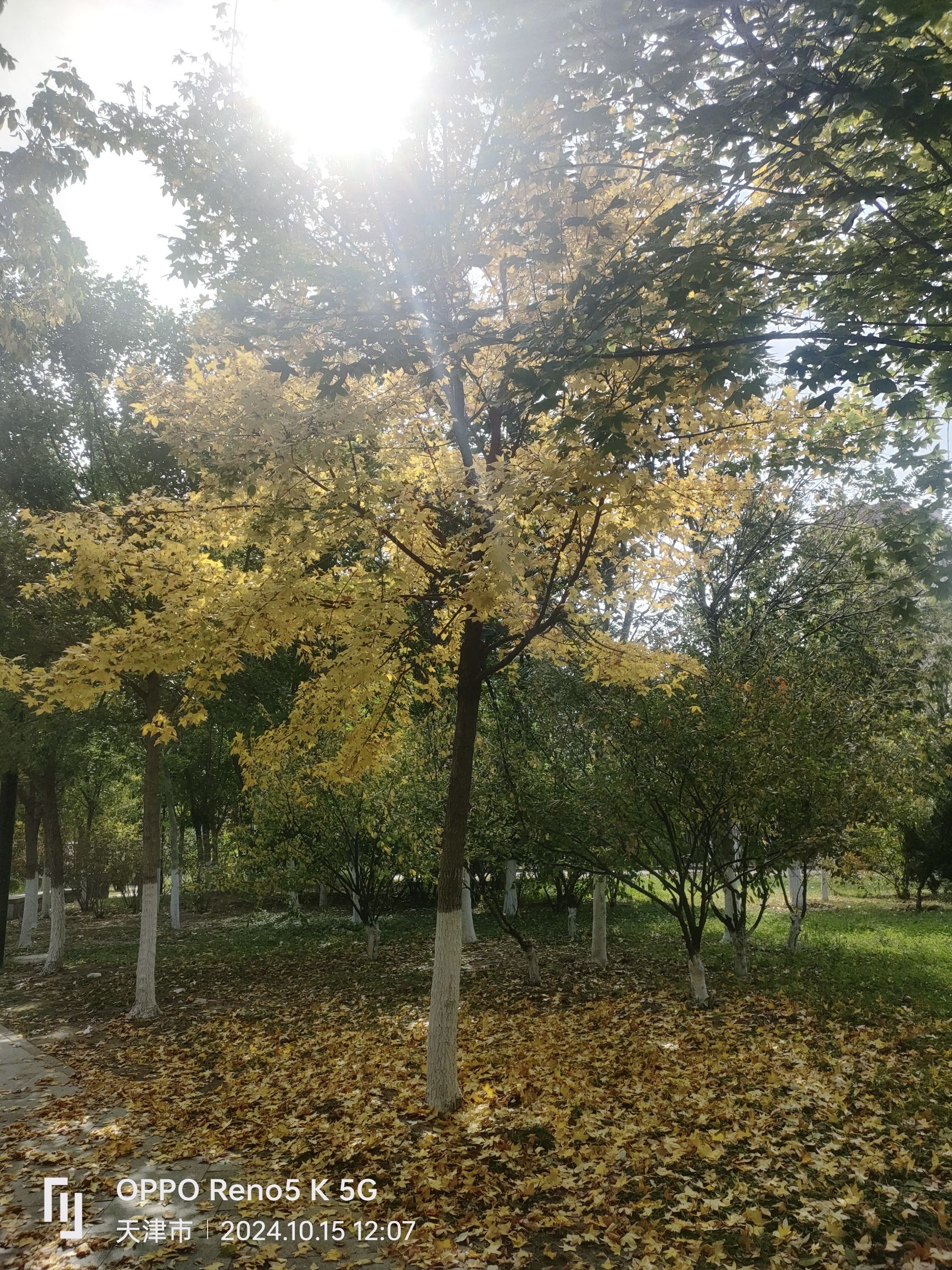 津南体育公园旅行图片 2