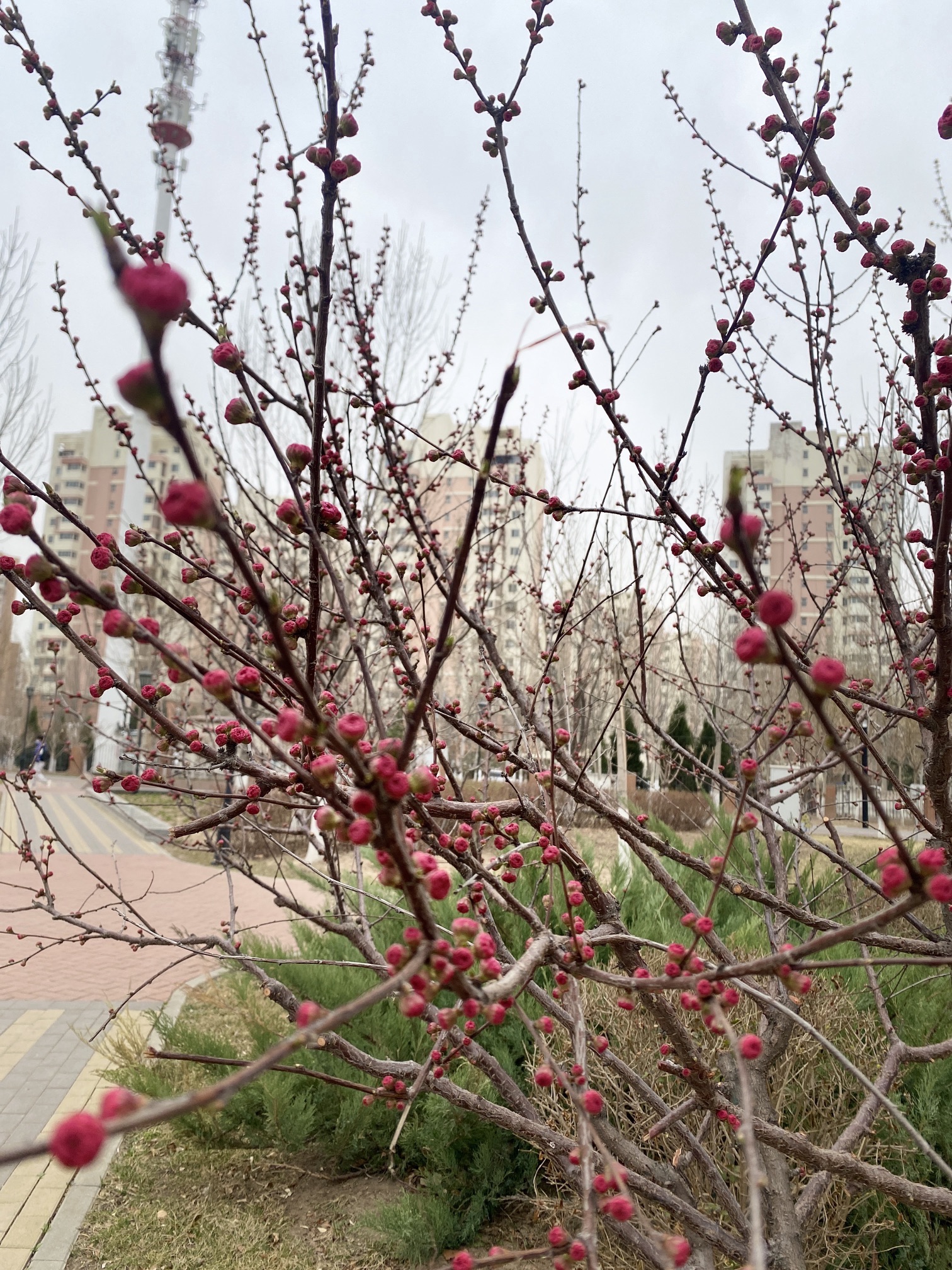 津南体育公园旅行图片 1