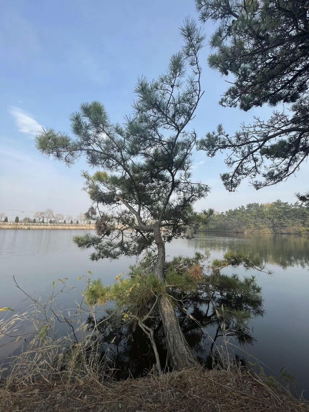 松影湖景区旅行图片 3