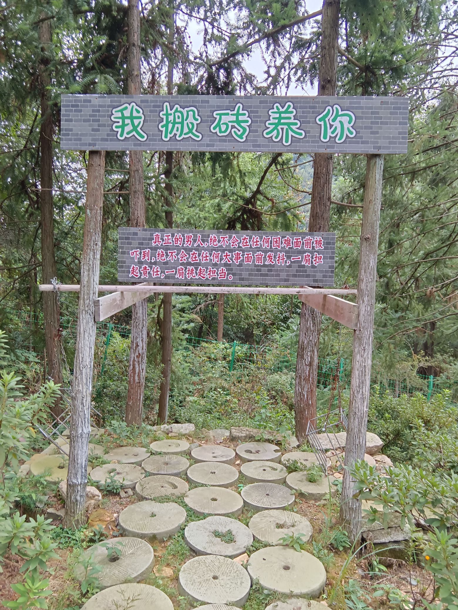 万花谷景区旅行图片 2