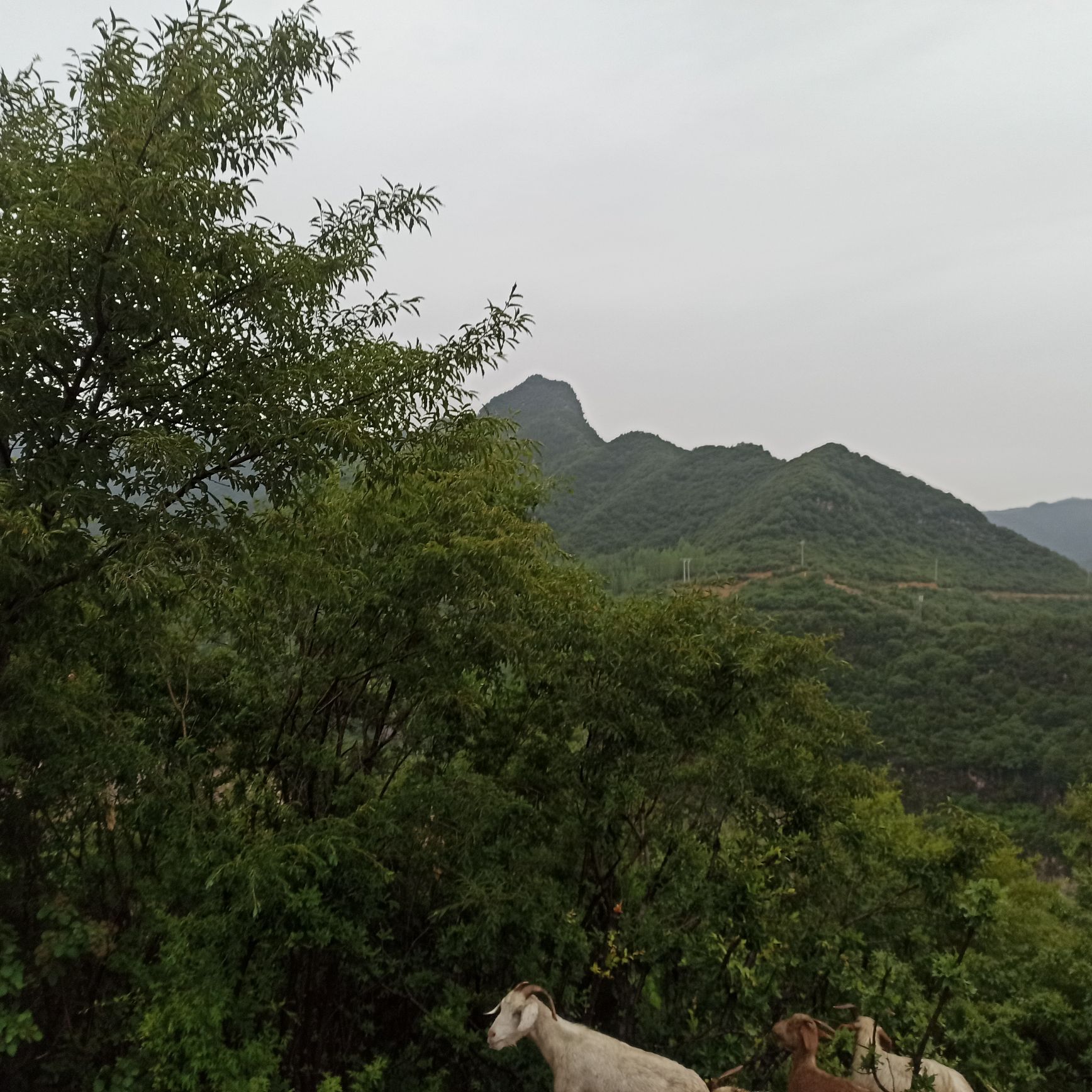 208国道螺旋公路观景台旅行图片 2