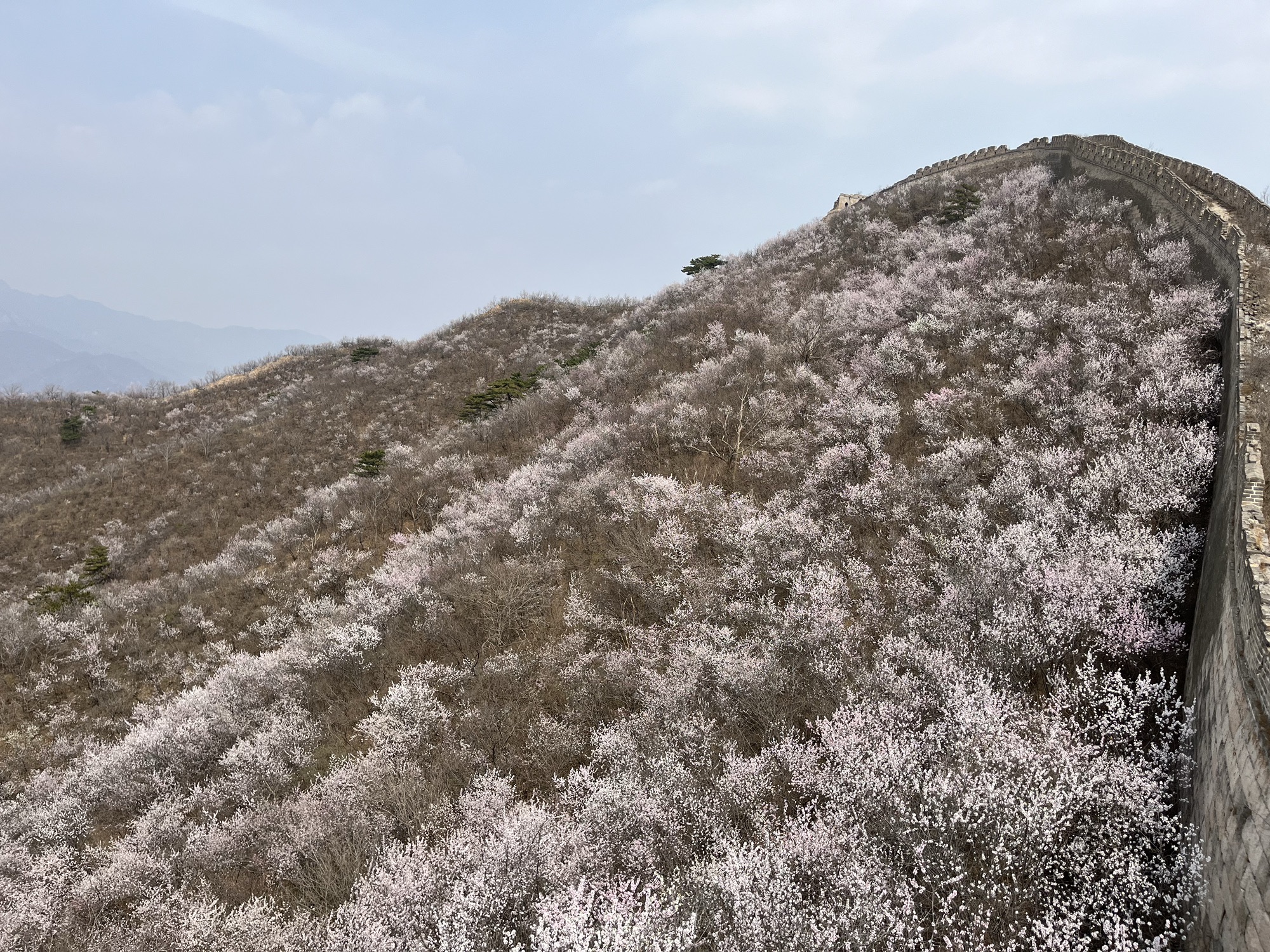 撞道口关旅行图片 2