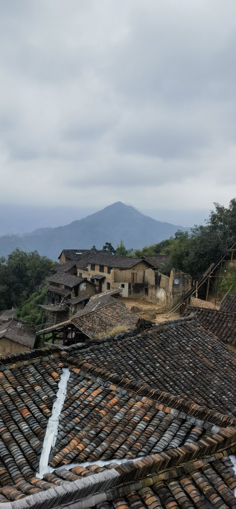 松阳枫坪沿坑岭画家村旅行图片 3