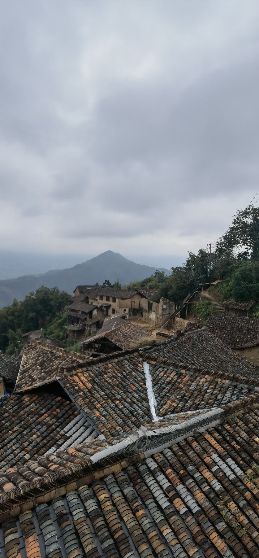 松阳枫坪沿坑岭画家村旅行图片 2