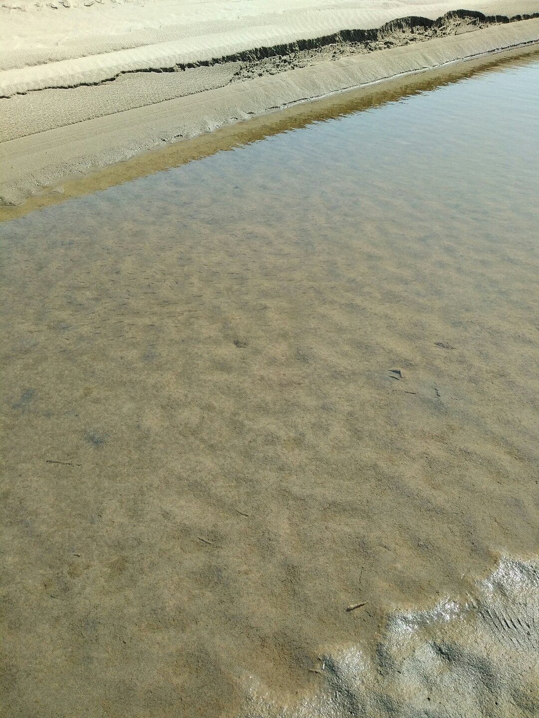 长风沙江滩旅行图片 3