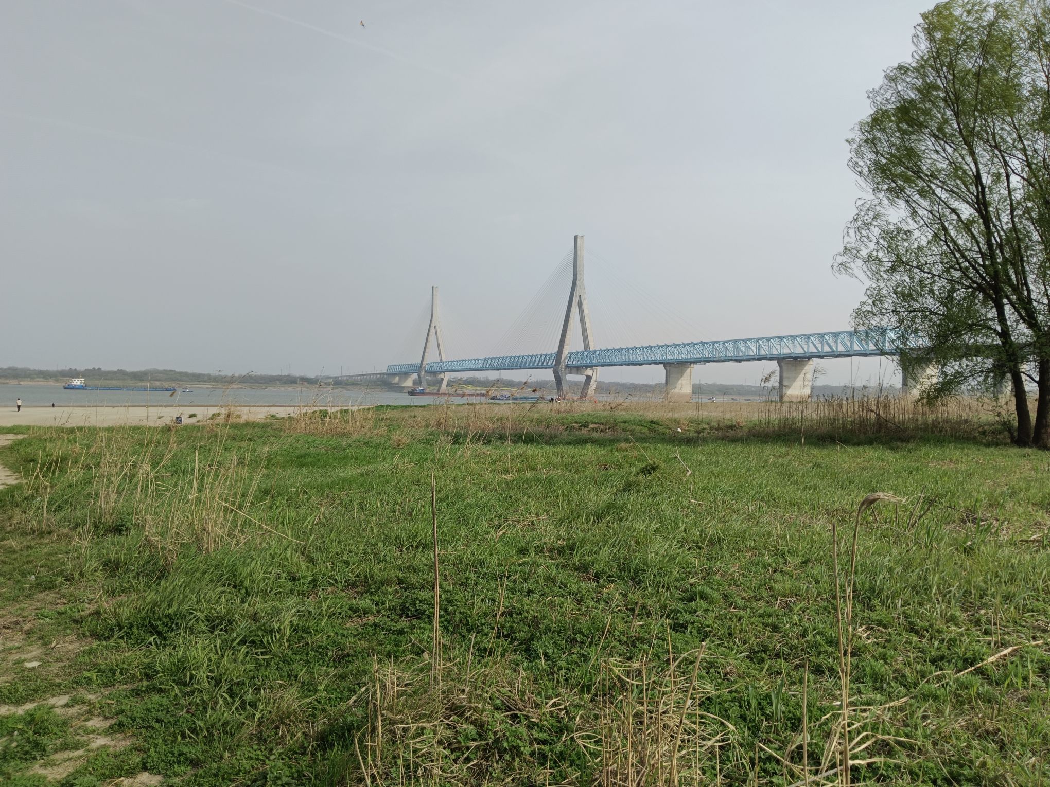 长风沙江滩旅行图片 3