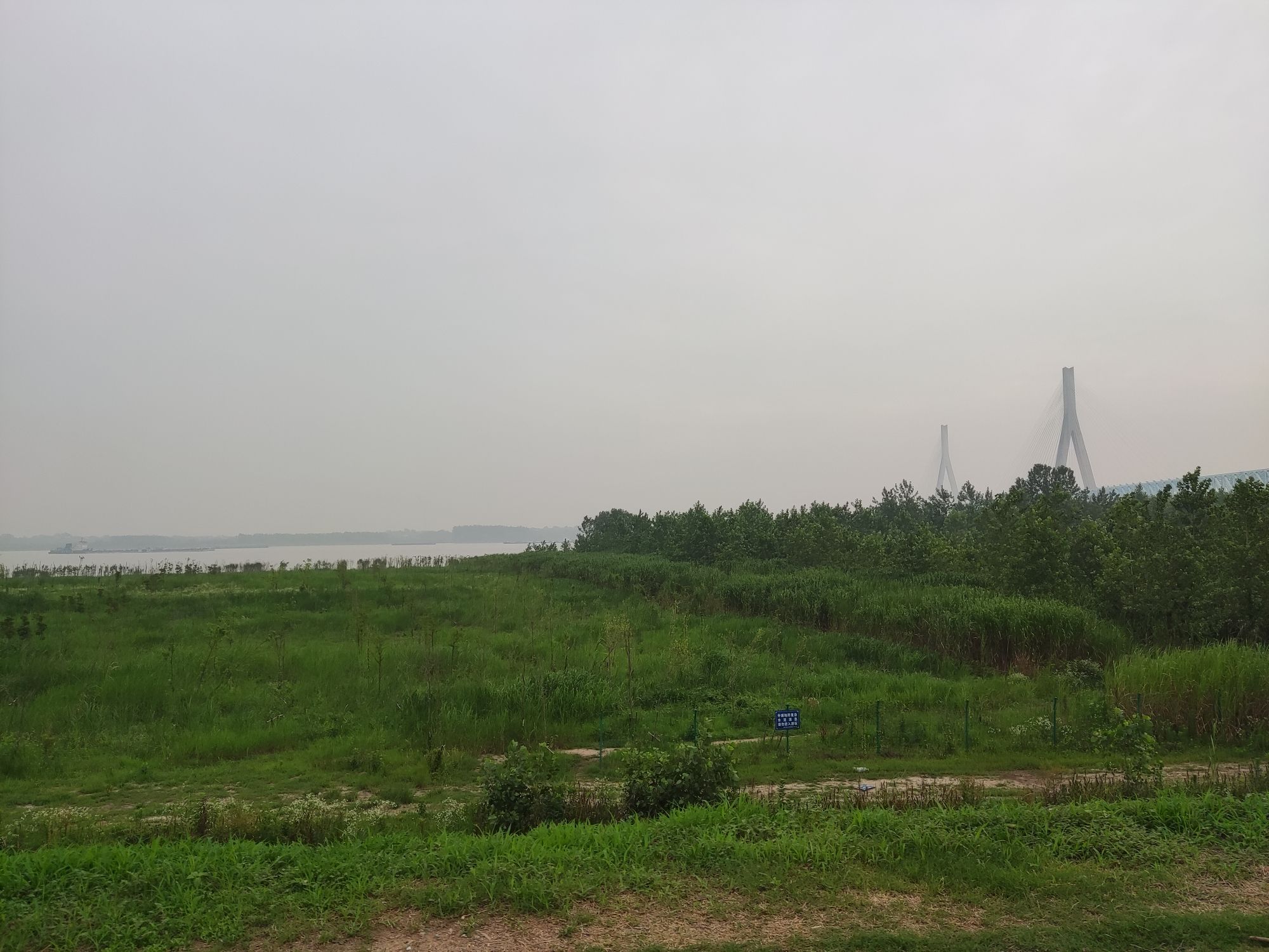 长风沙江滩旅行图片 1