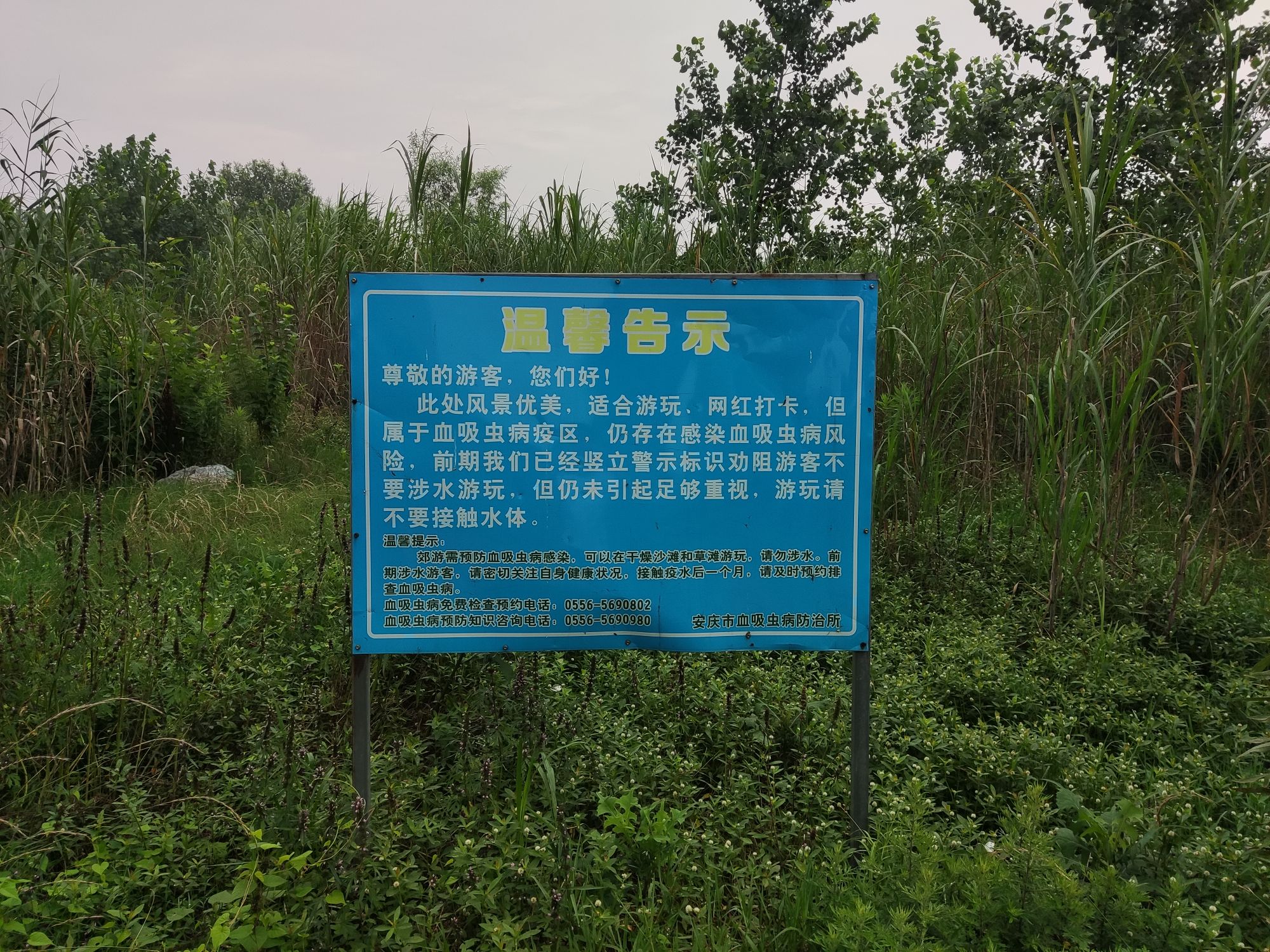 长风沙江滩旅行图片 3