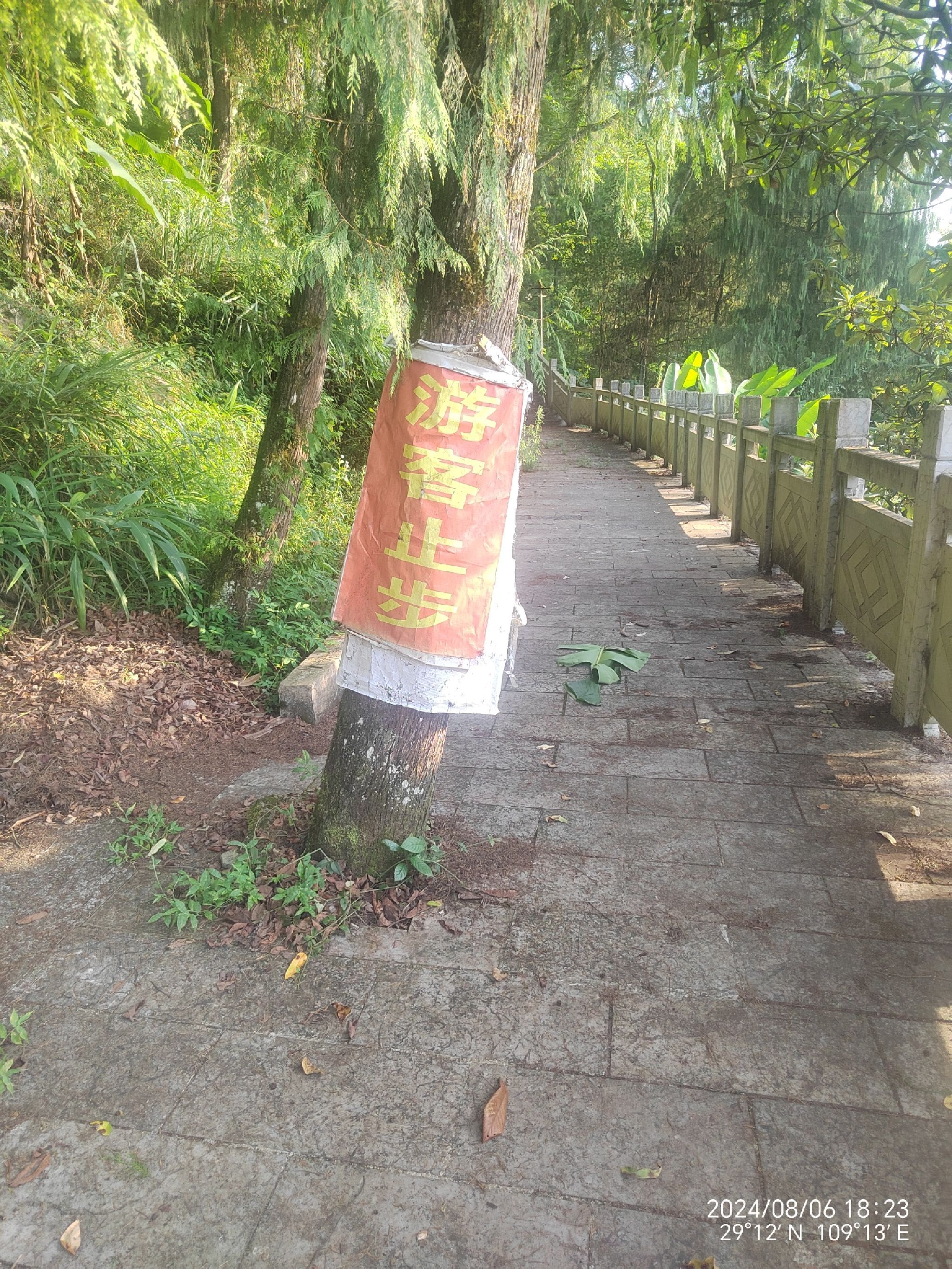 观音阁旅行图片