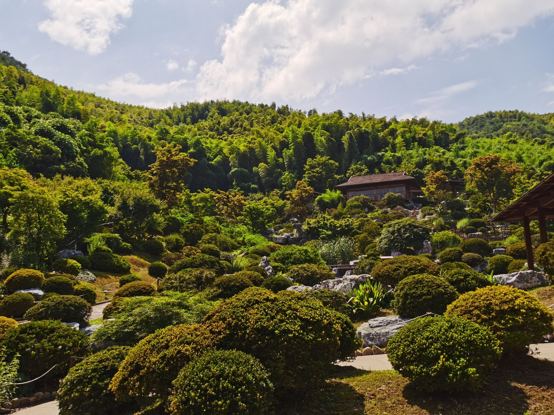 莫干山奇幻音乐节-下渚湖·奇幻谷旅行图片 2
