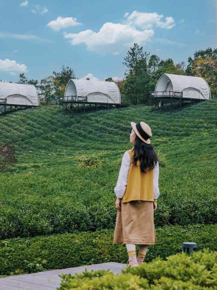 莫干山奇幻音乐节-下渚湖·奇幻谷旅行图片 2