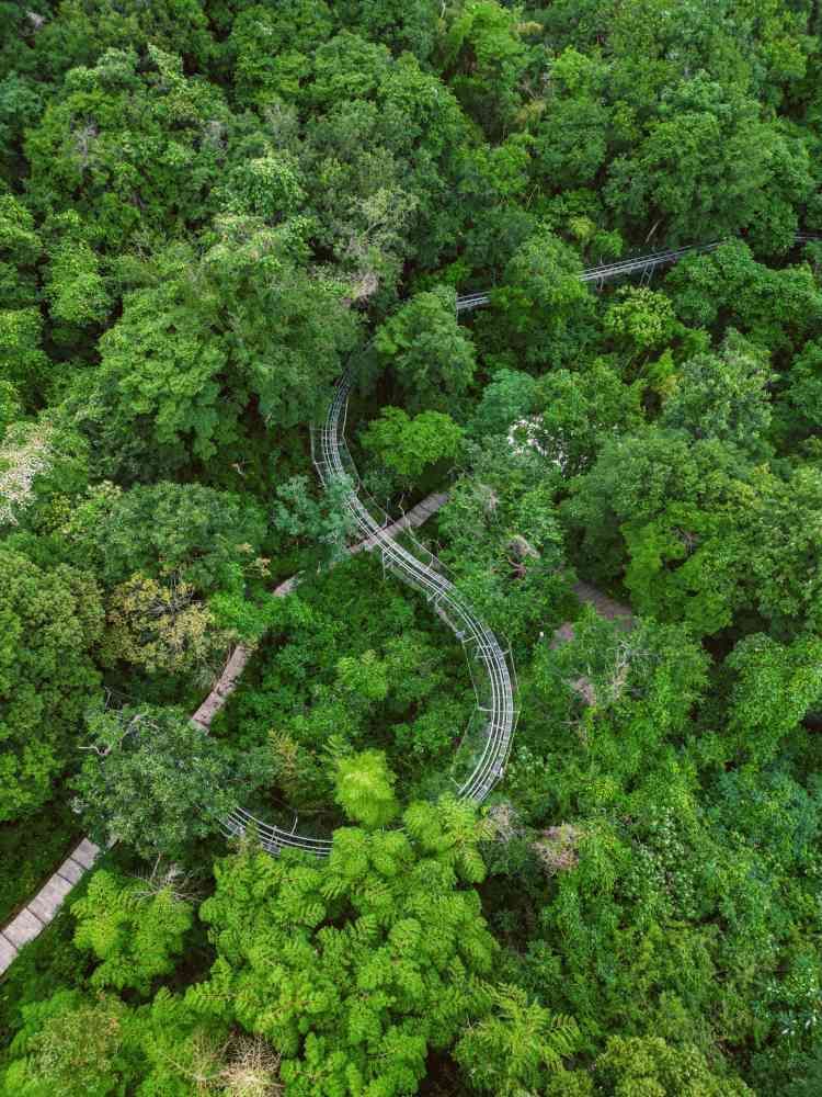 莫干山奇幻音乐节-下渚湖·奇幻谷旅行图片 3