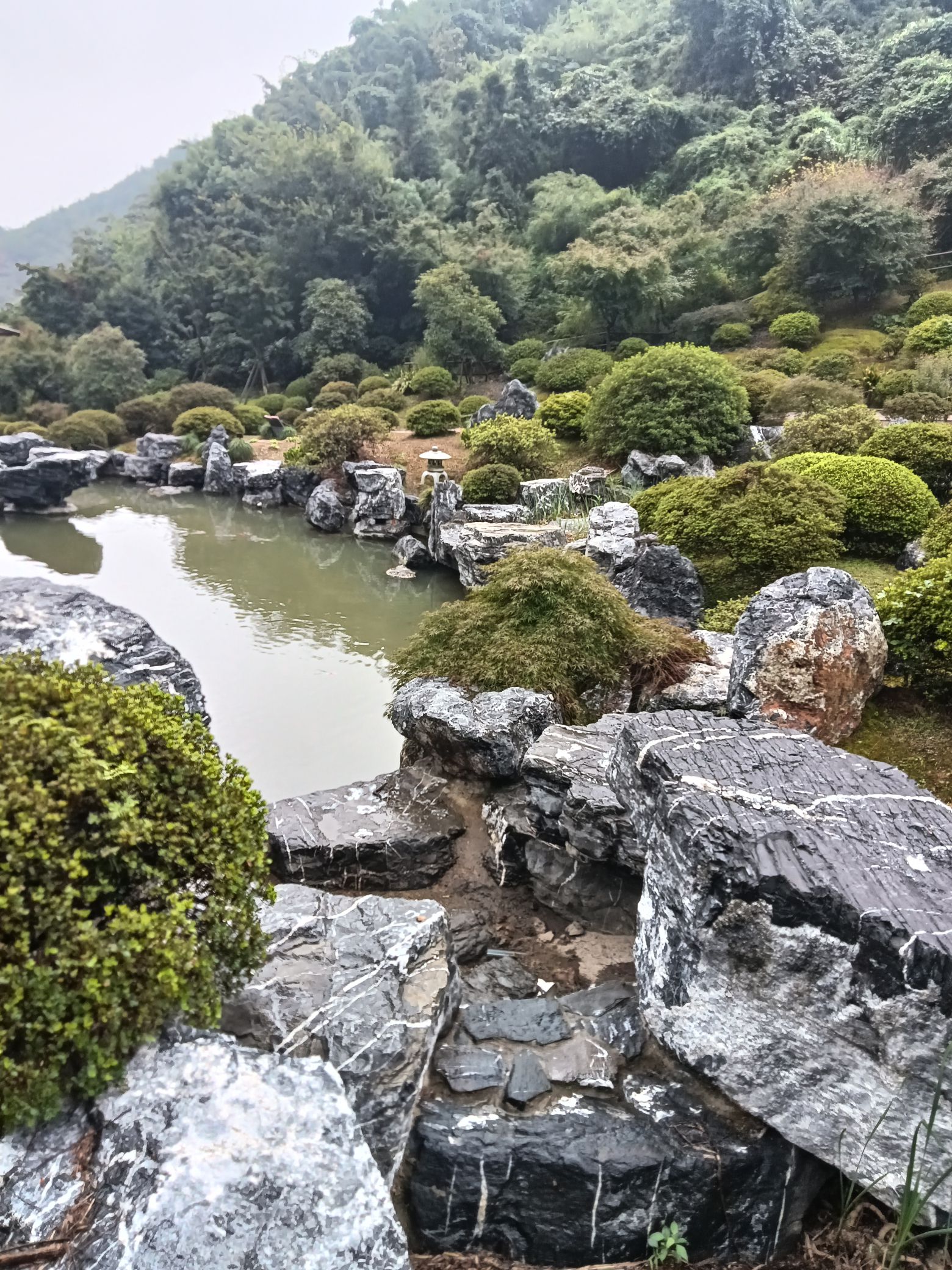 莫干山奇幻音乐节-下渚湖·奇幻谷旅行图片 1