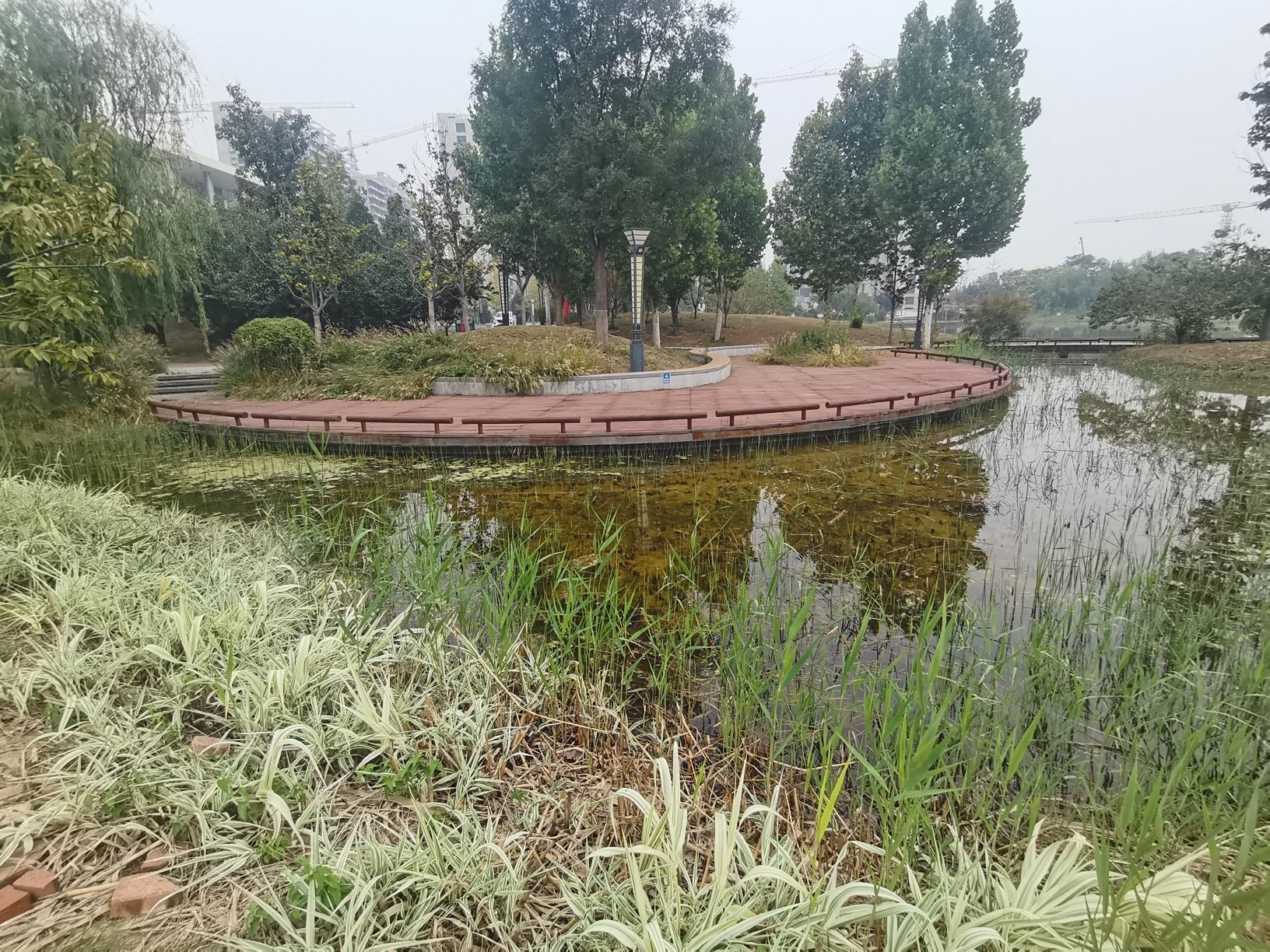 展馆公园旅行图片 2