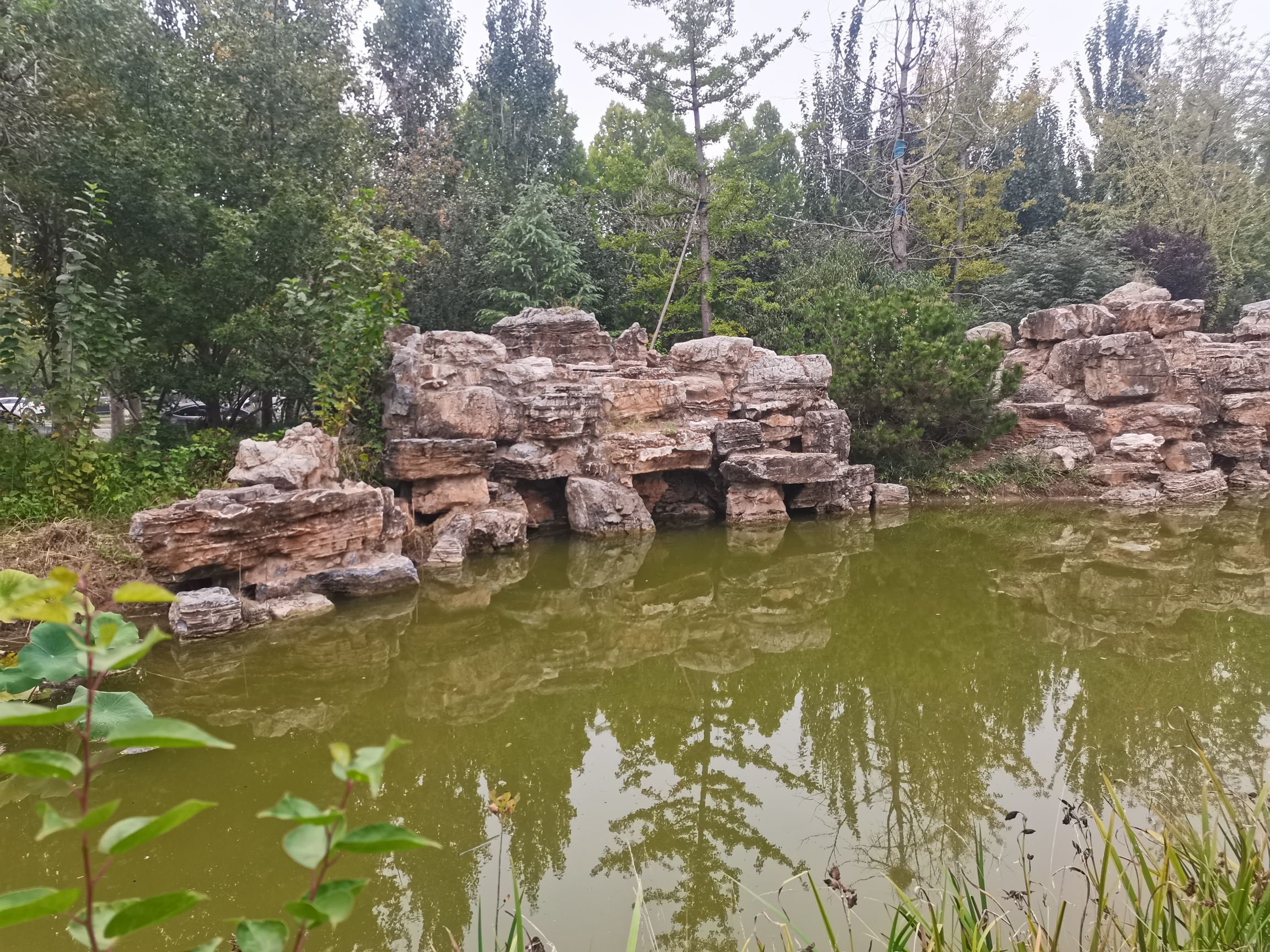 展馆公园旅行图片 3