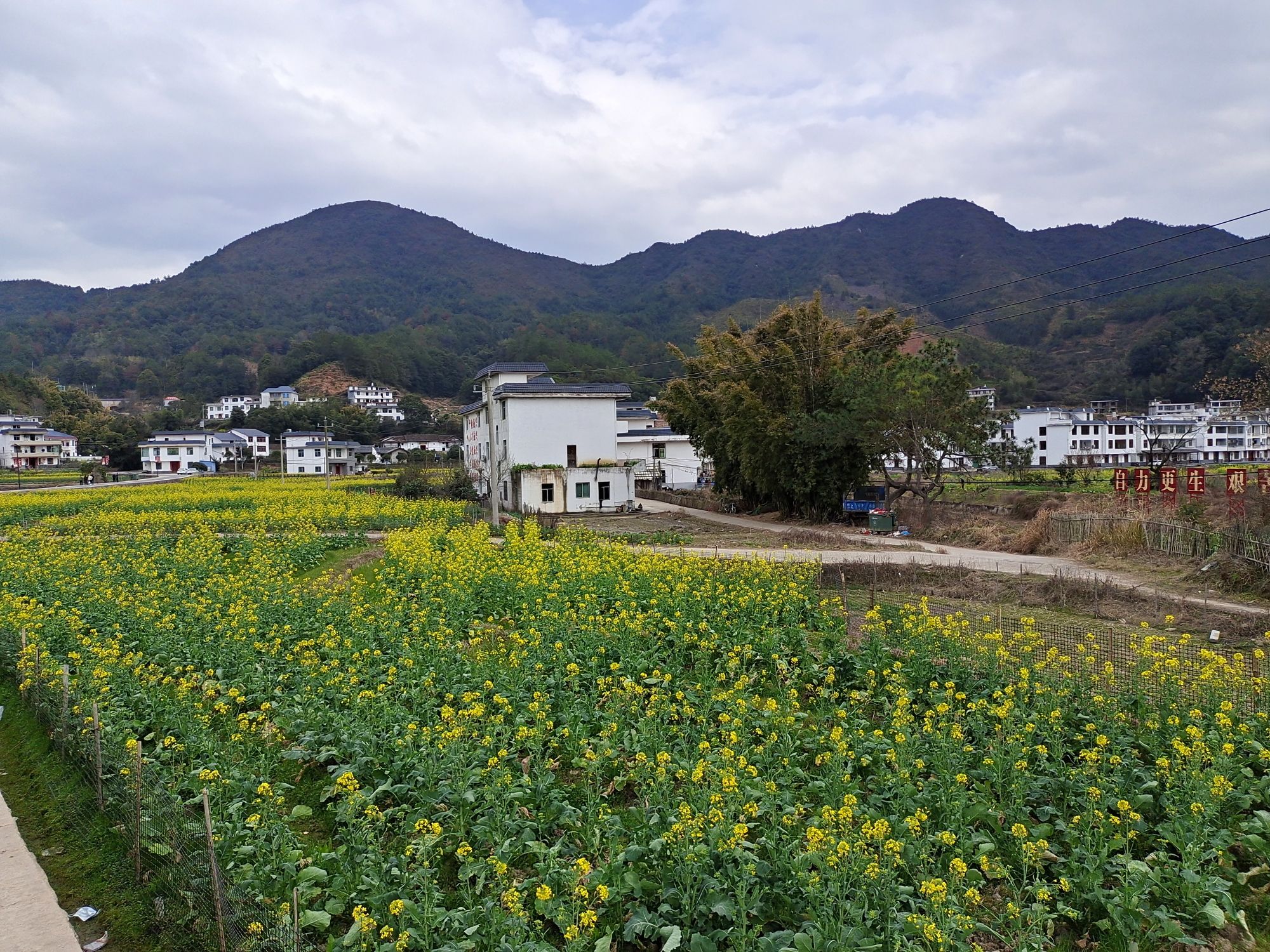 官田中央兵工厂旧址群旅行图片 1