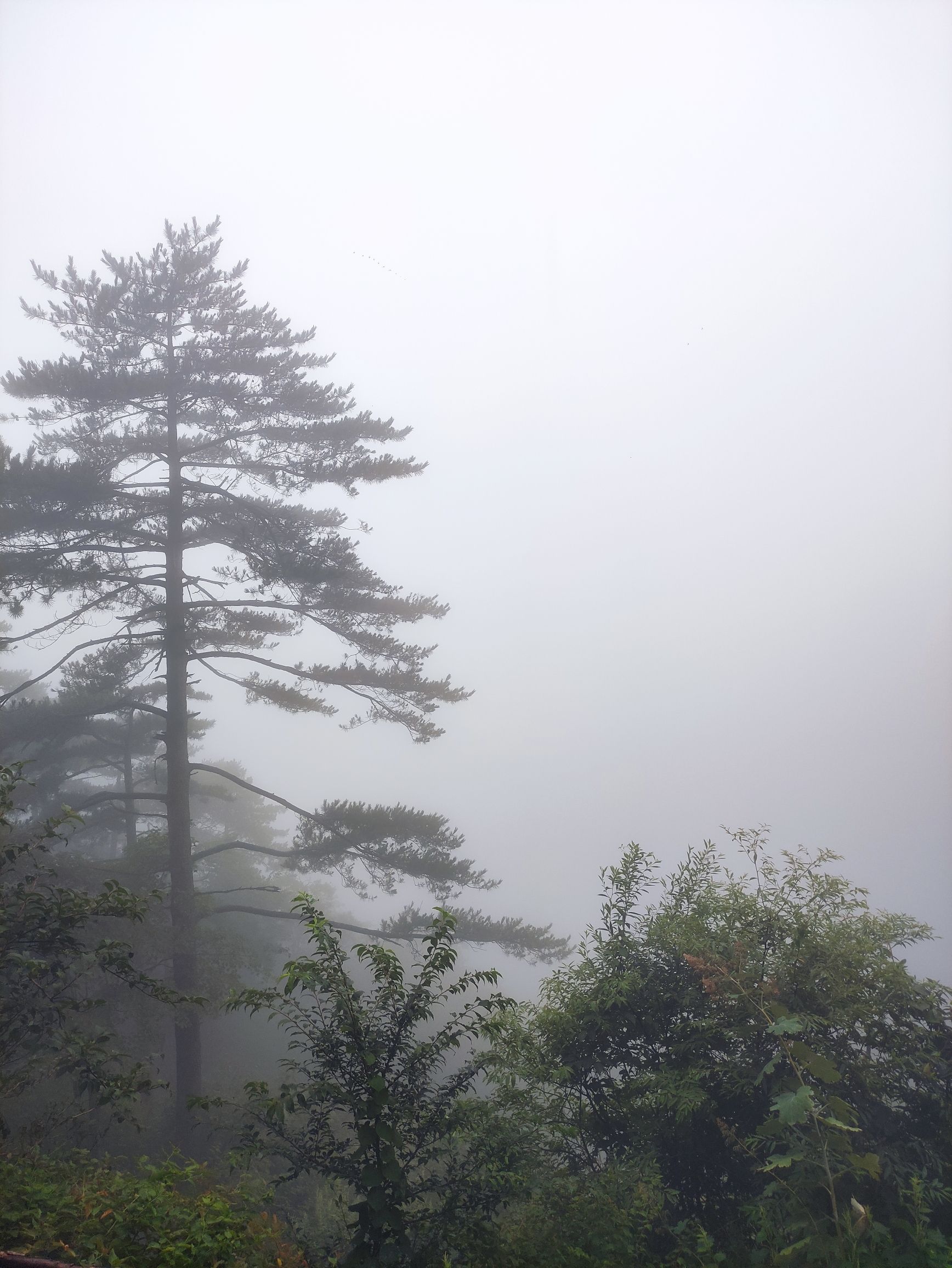 焦作大沙河玻璃栈道旅行图片 2