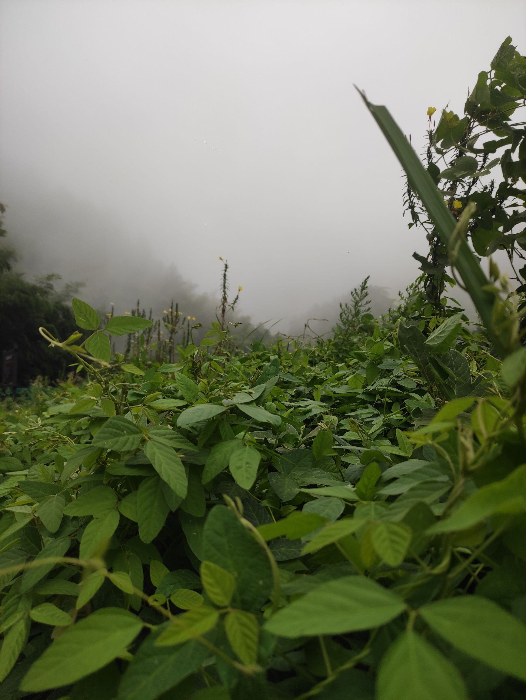 焦作大沙河玻璃栈道旅行图片 3