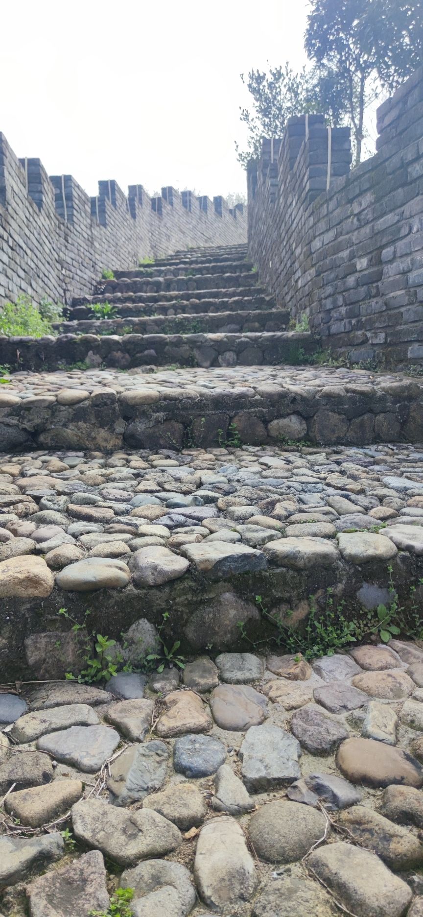 穆寨旅行图片 3