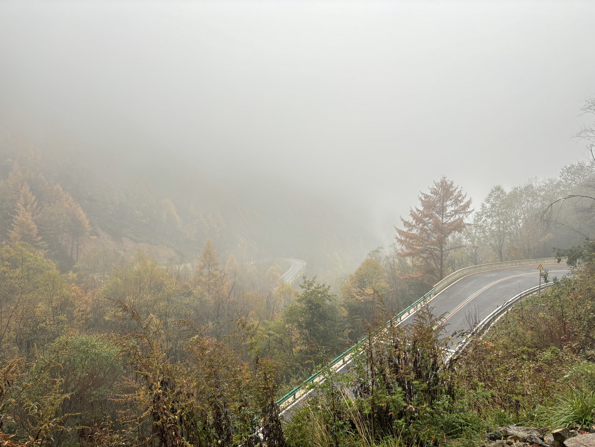 米仓山大峡谷旅游区旅行图片 3