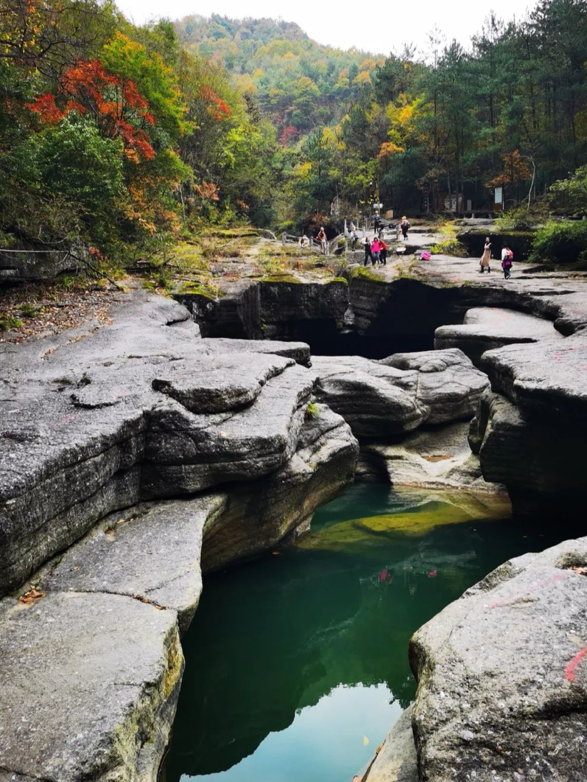 米仓山大峡谷旅游区旅行图片 1